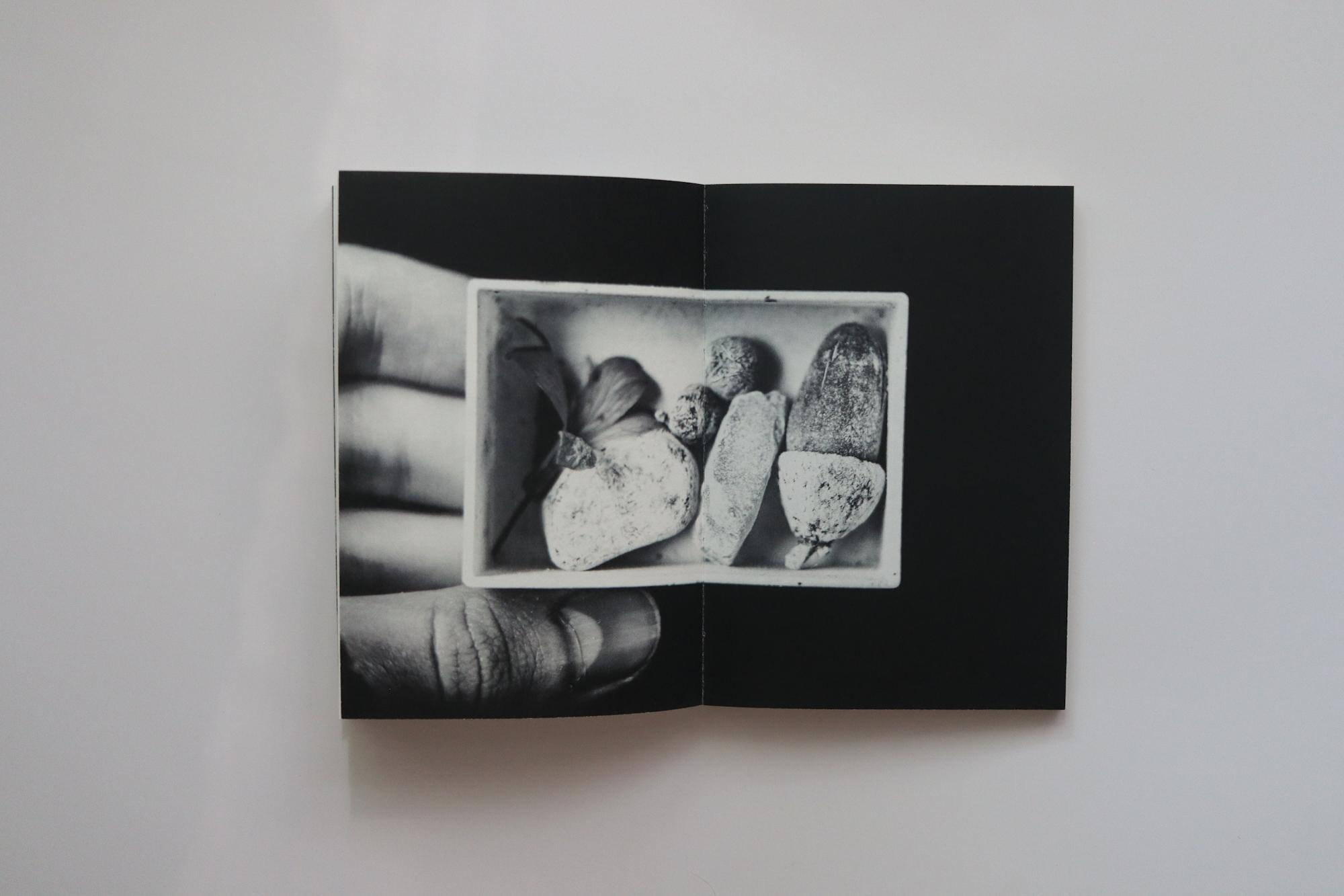 Books. Tatiana Kireicheva