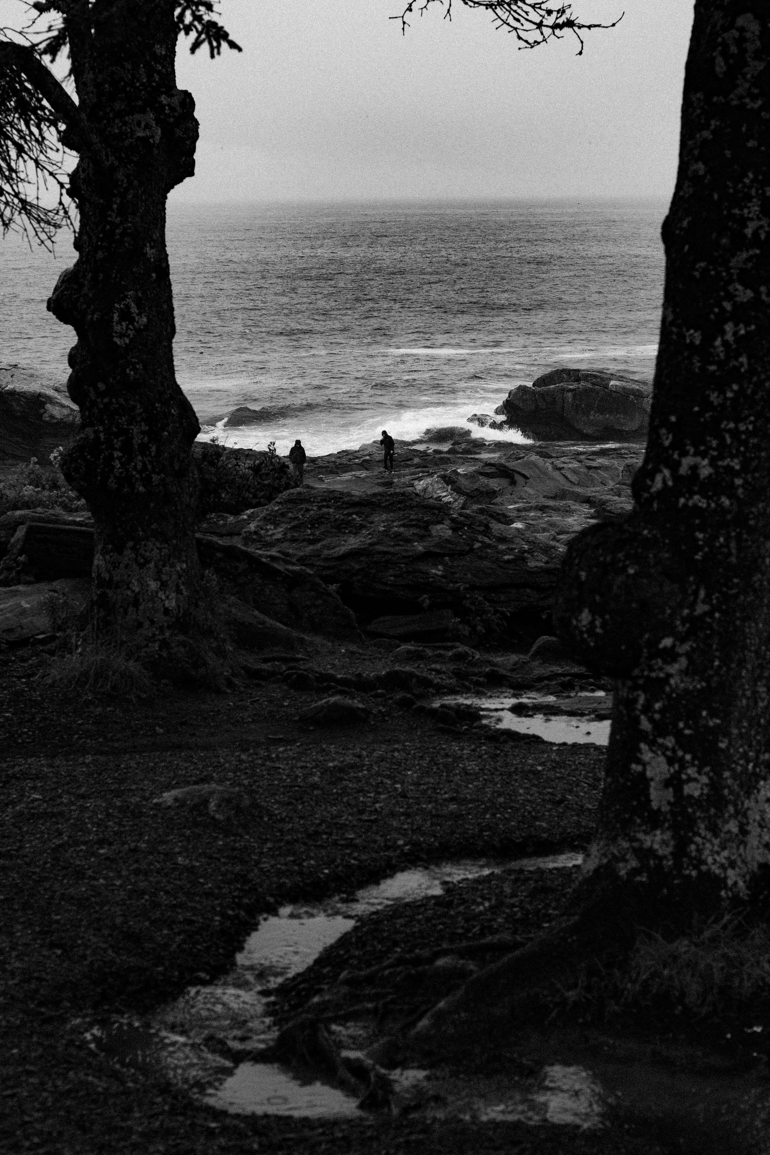 Angle got wings. Tatiana Kireicheva