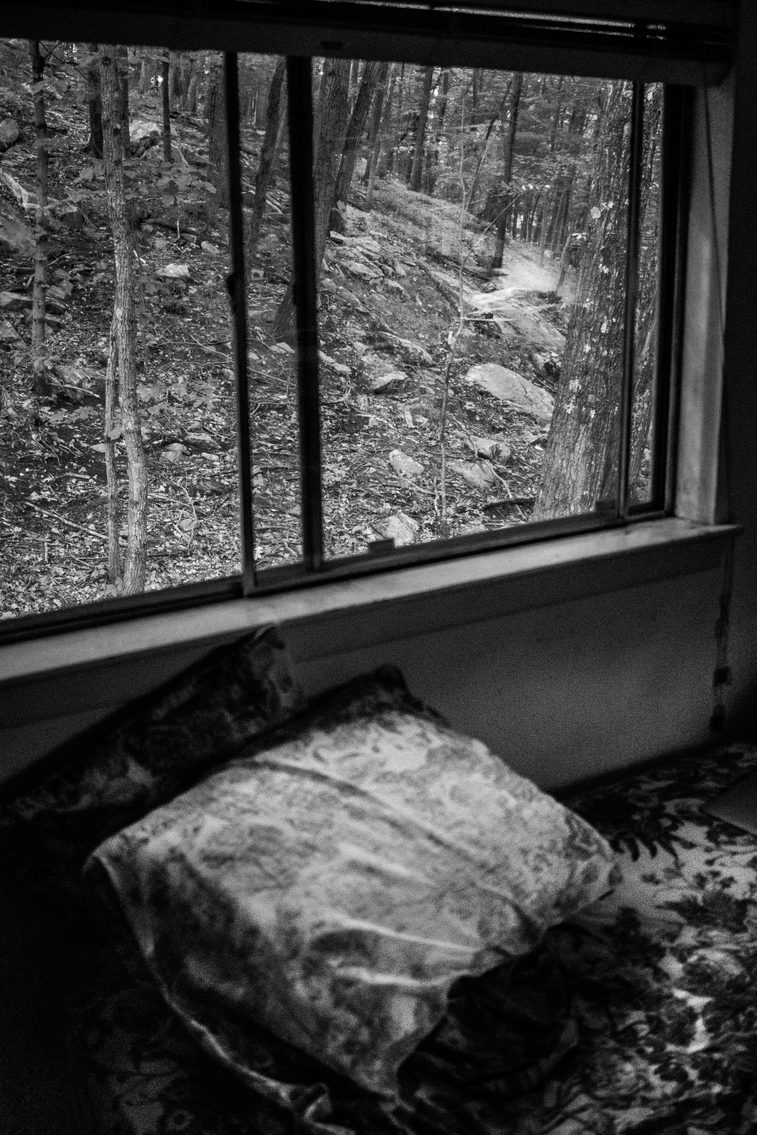 Angle got wings. Tatiana Kireicheva