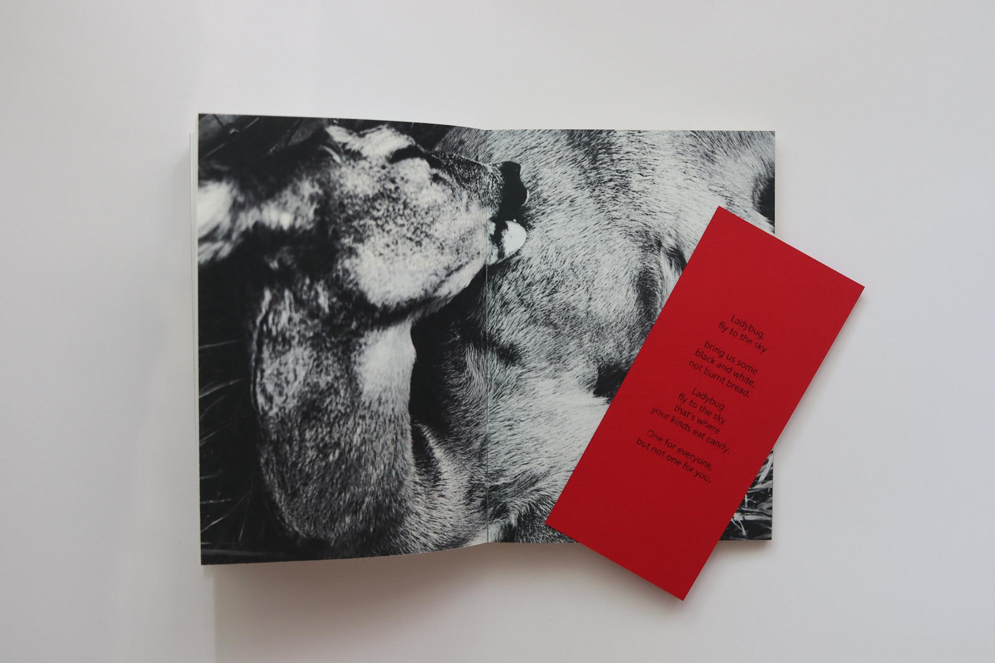 Books. Tatiana Kireicheva