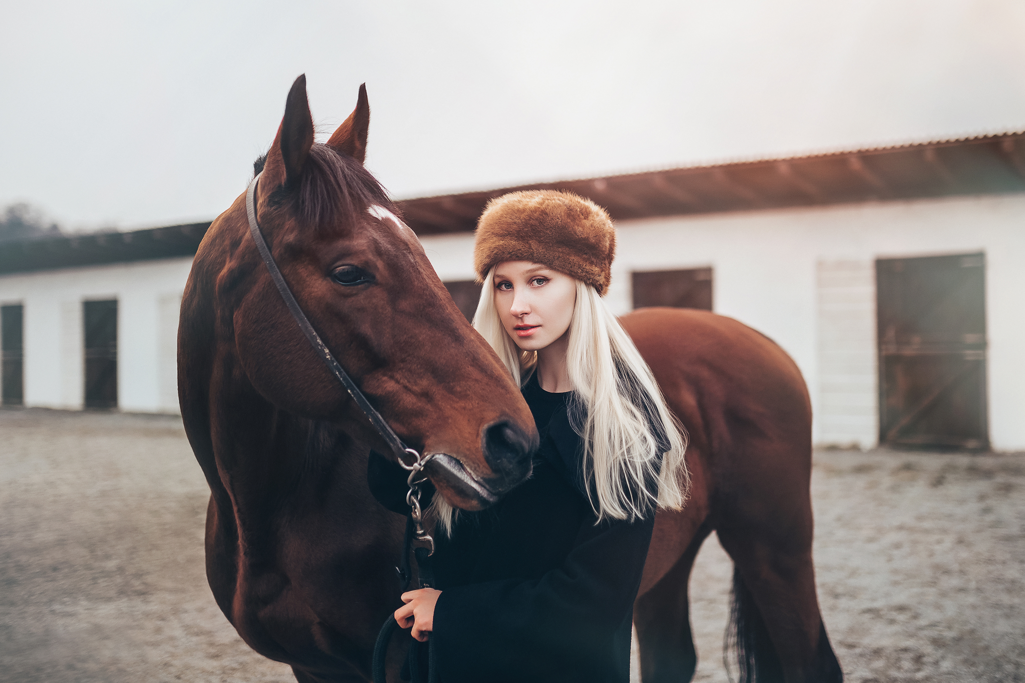 Hippodrome (2018). Фотограф и ретушер в Белграде Елена Skullova