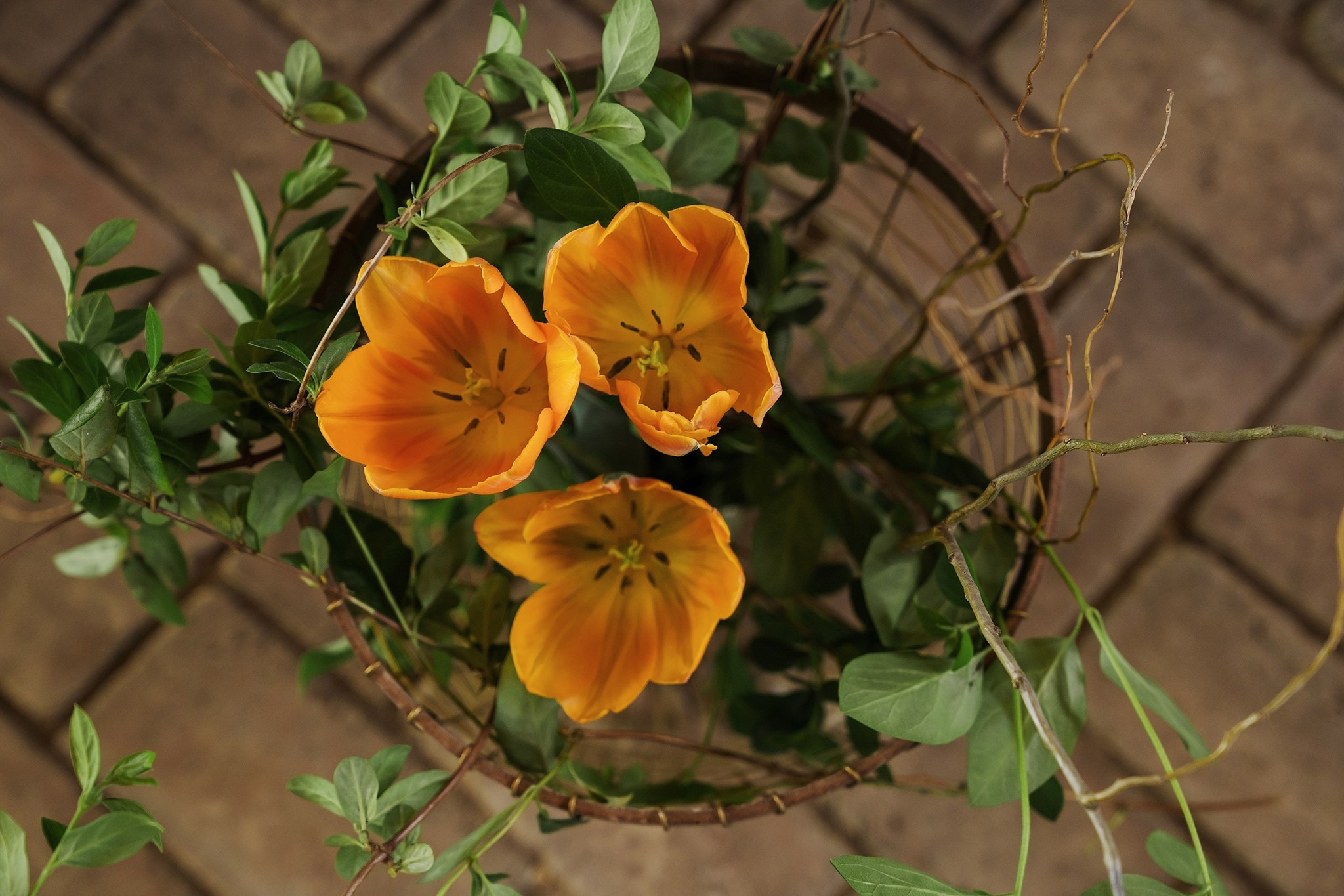 Calin. Fotograf evenimente. Fotograf nunta. Fotograf Botez. Mihaela Savu