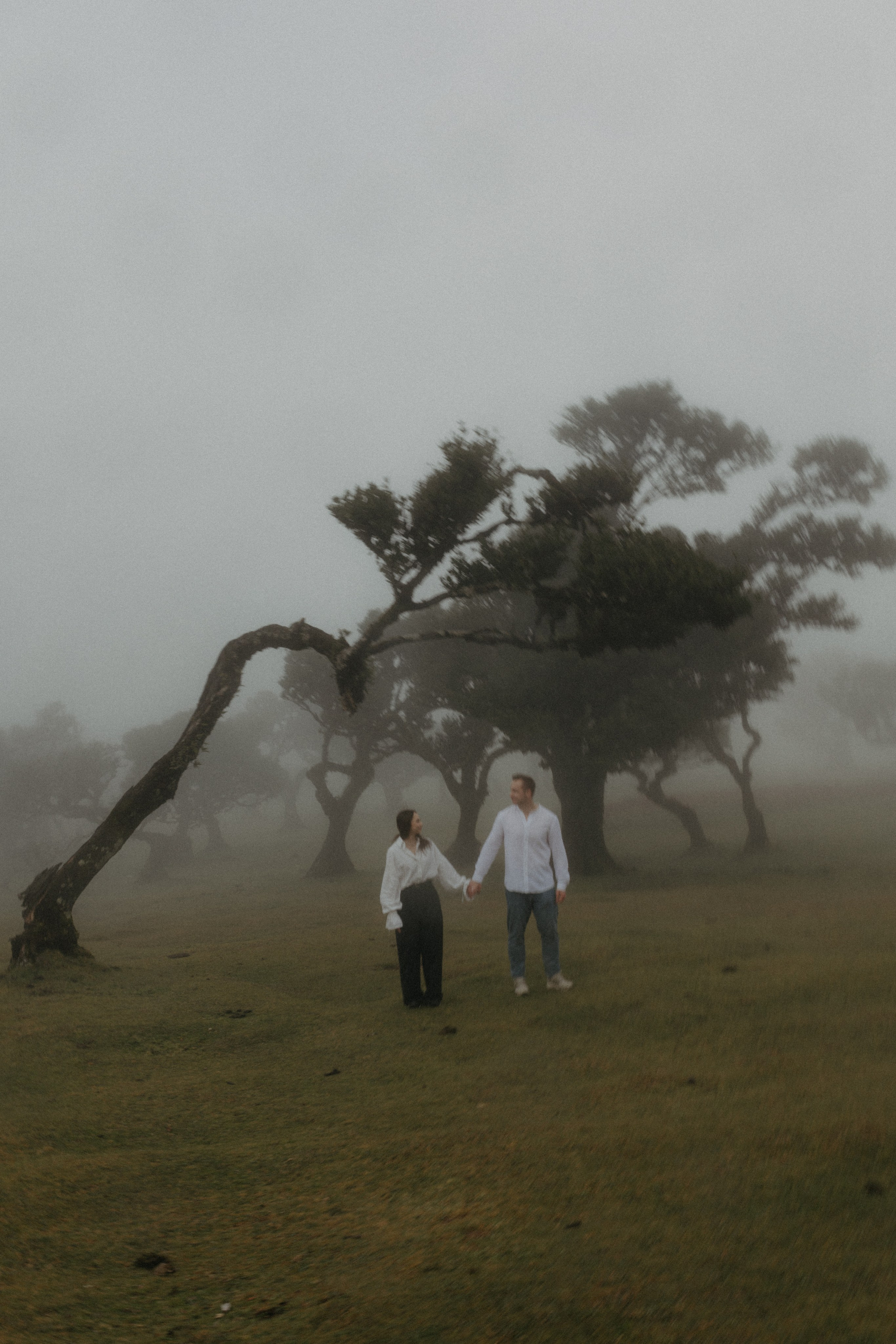 Magic of Fanal Forest. Wedding photographer and videographer based in Timisoara, Romania