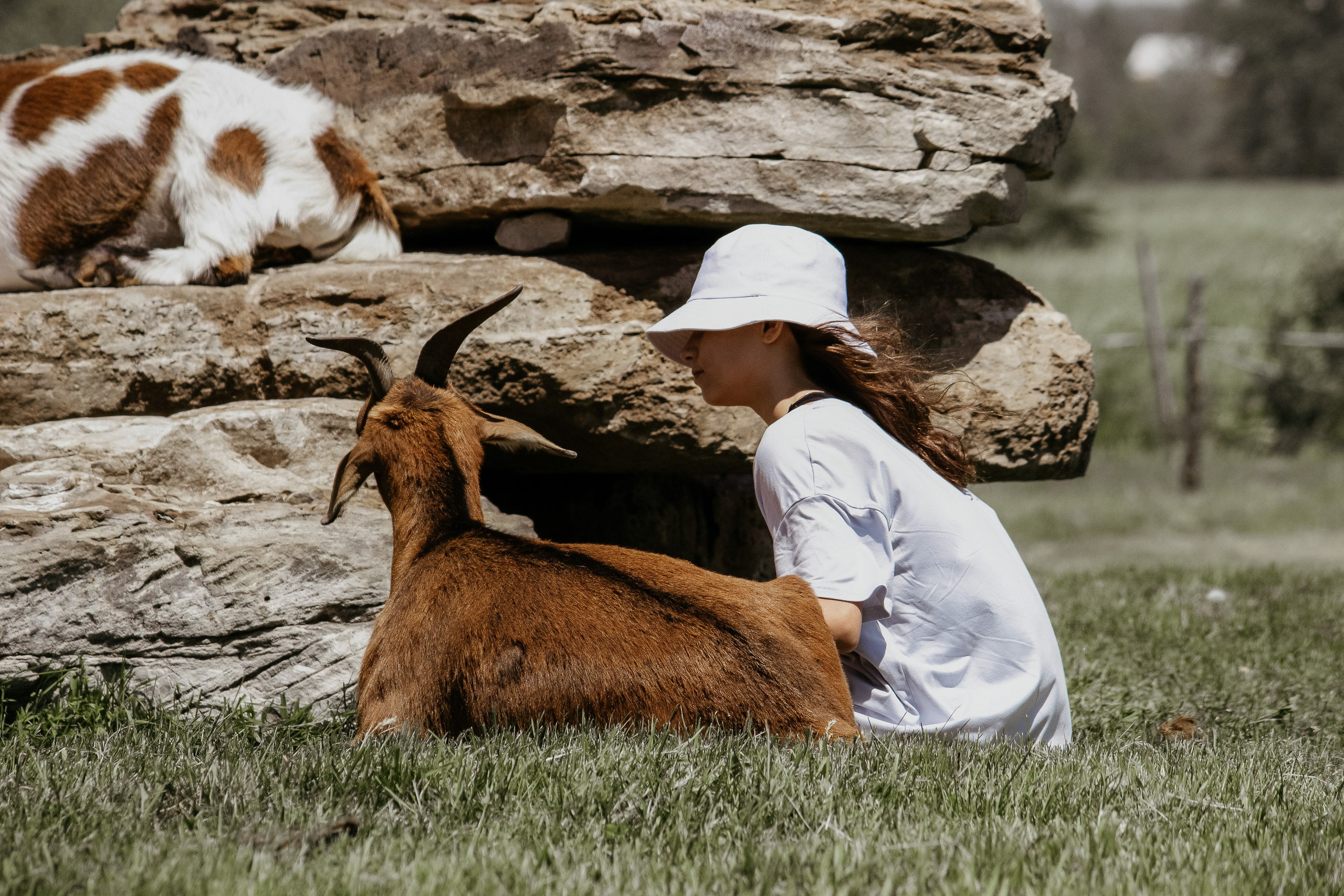 Event. I am a portrait and family photographer Jenny in Montreal and Calgary