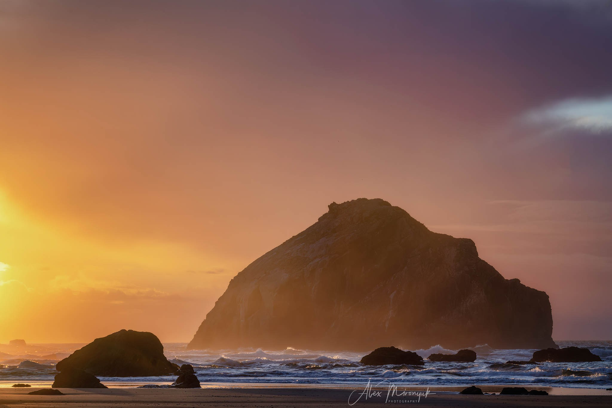 Oregon Coast Photo Workshop. Pet, Senior, Landscape, portrait studio, photographer in Miami and Sou