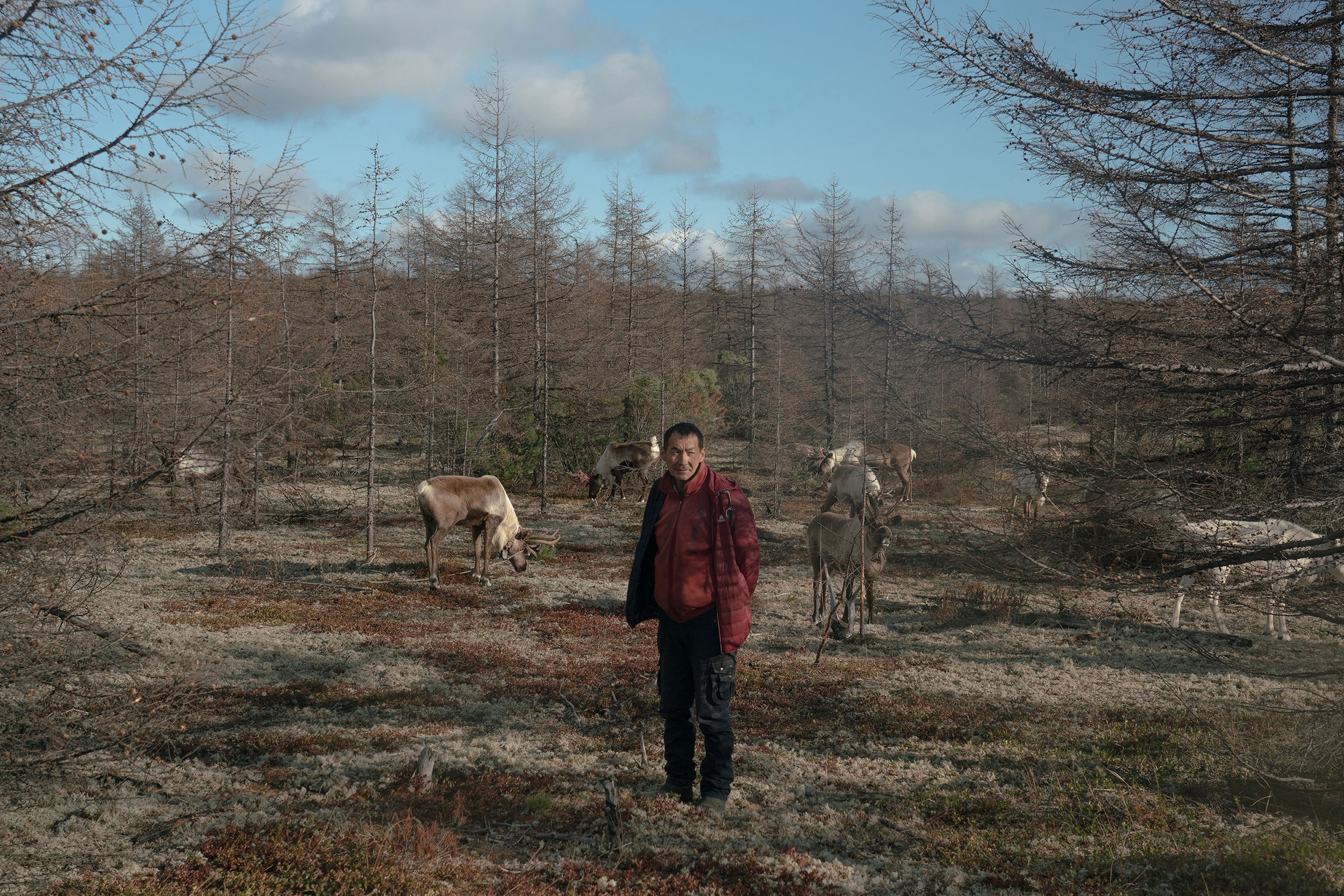 Disappearing people. Marina Sycheva