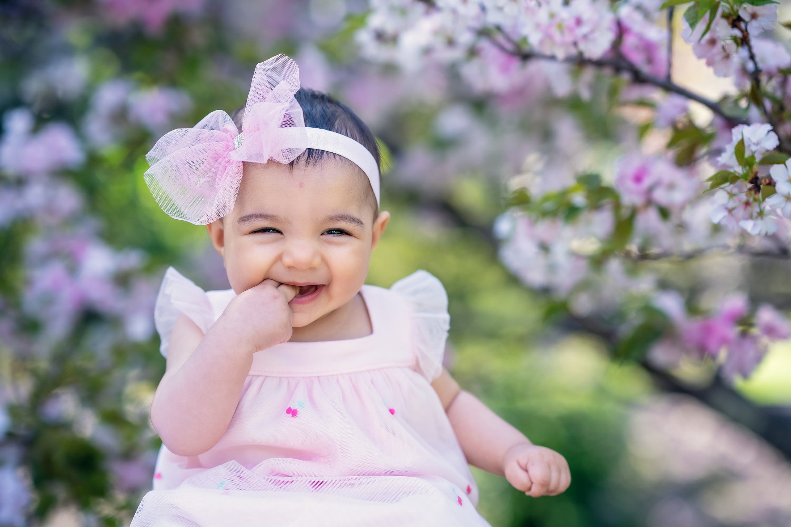 Capturing Family Moments: A Springtime Baby Photoshoot in Sydney’s Bl. Family and Maternity Photography in Sydney, Hills District