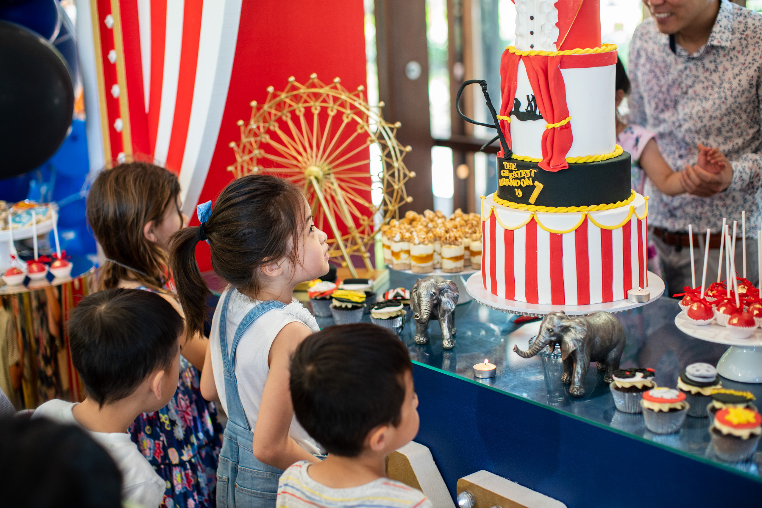 Party Photography Sydney. Event photographer. Kids and Family Birthday photoshoot