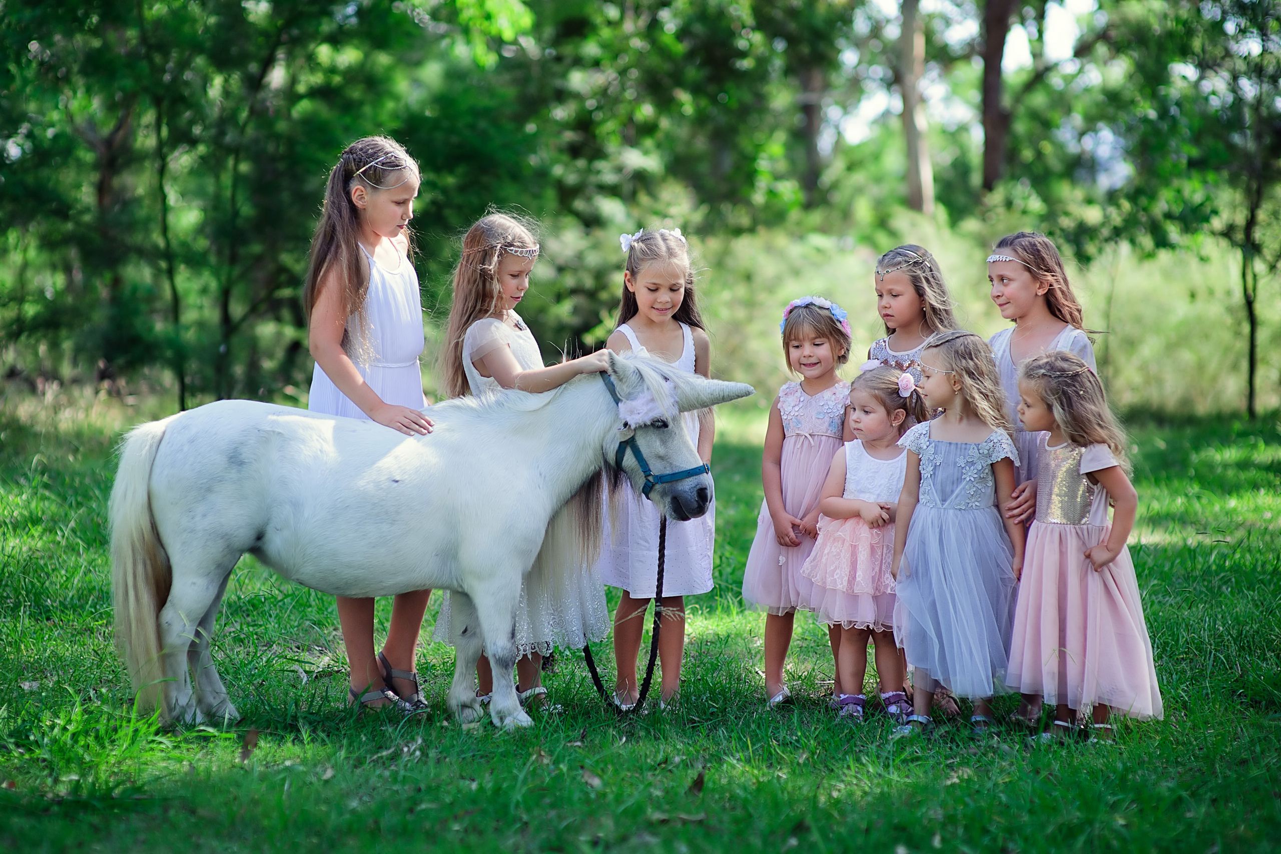 Party Photography Sydney, Kids Birthday and Family Event. Family and Maternity Photography in Sydney, Hills District