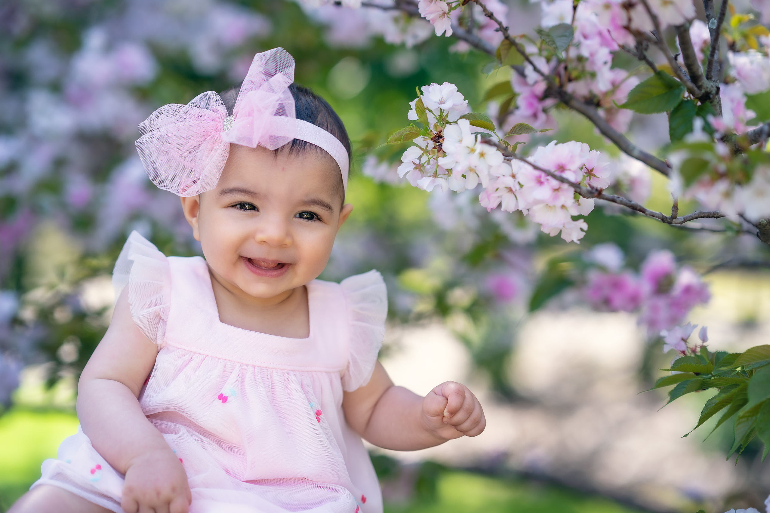 Capturing Family Moments: A Springtime Baby Photoshoot in Sydney’s Bl. Family and Maternity Photography in Sydney, Hills District