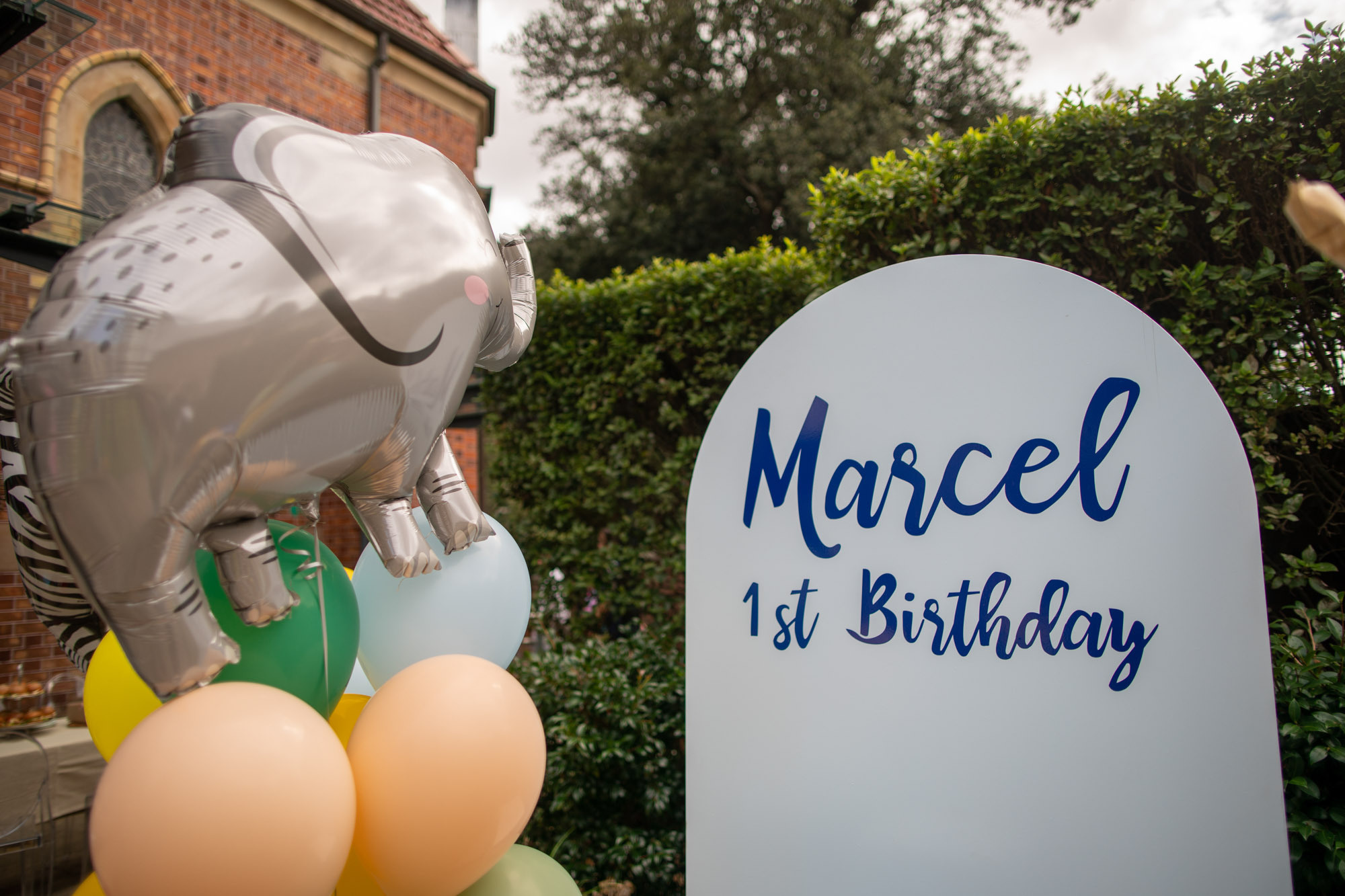 Sydney Kids Birthday Party Photography Jungle theme. Best Photographer