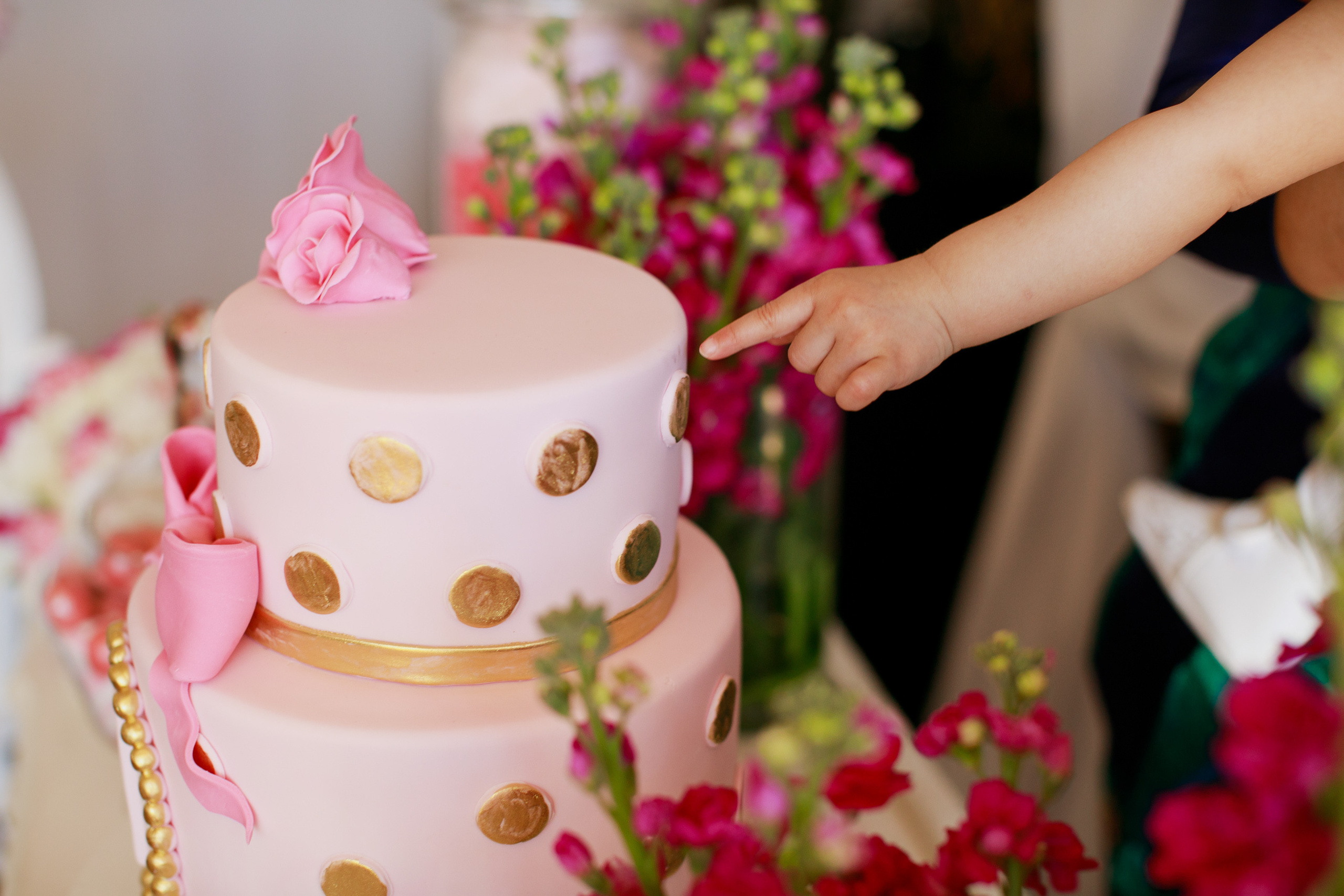 Party Photography Sydney. Event photographer. Kids and Family Birthday photoshoot