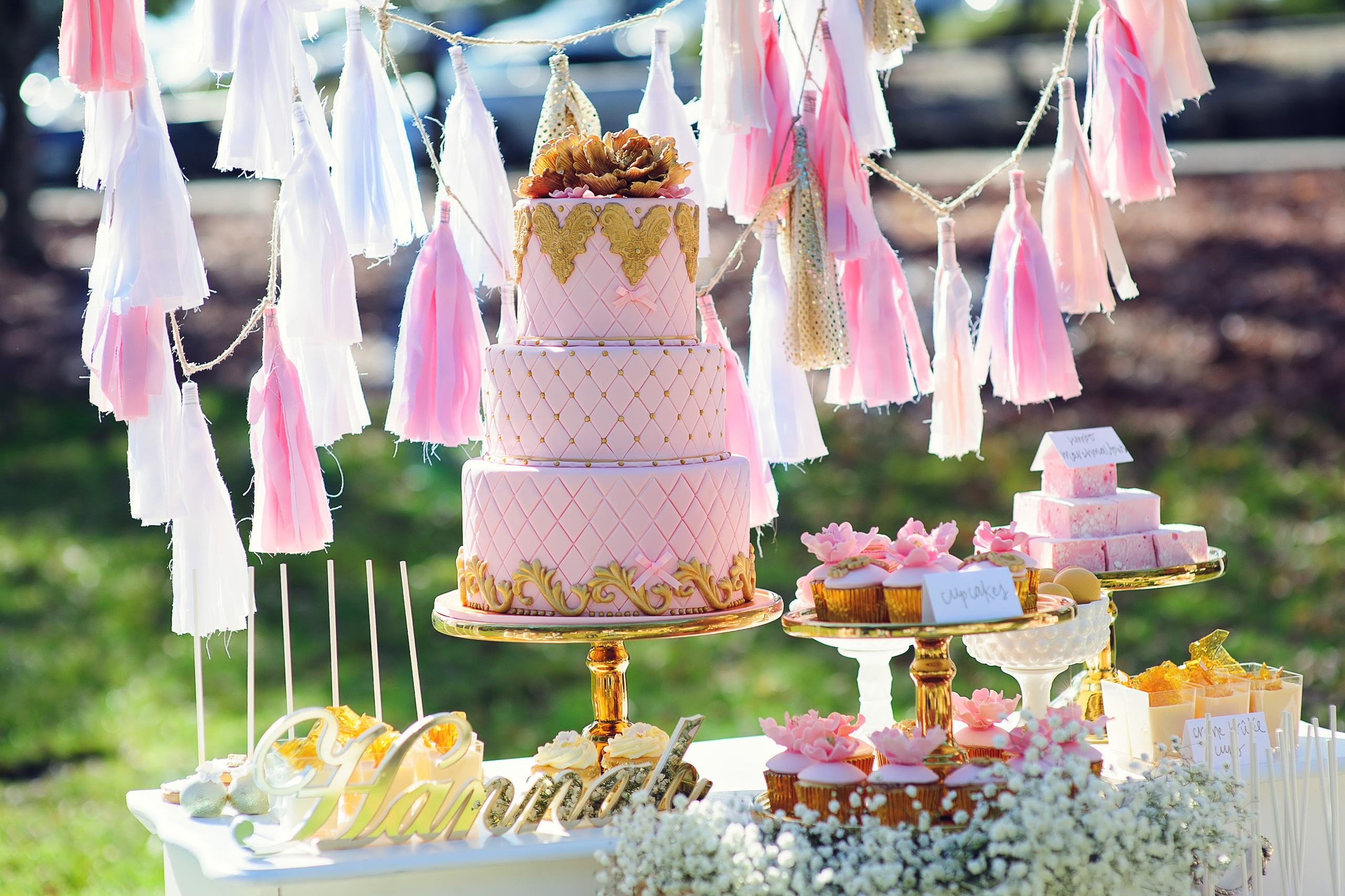 Party Photography Sydney. Event photographer. Kids and Family Birthday photoshoot