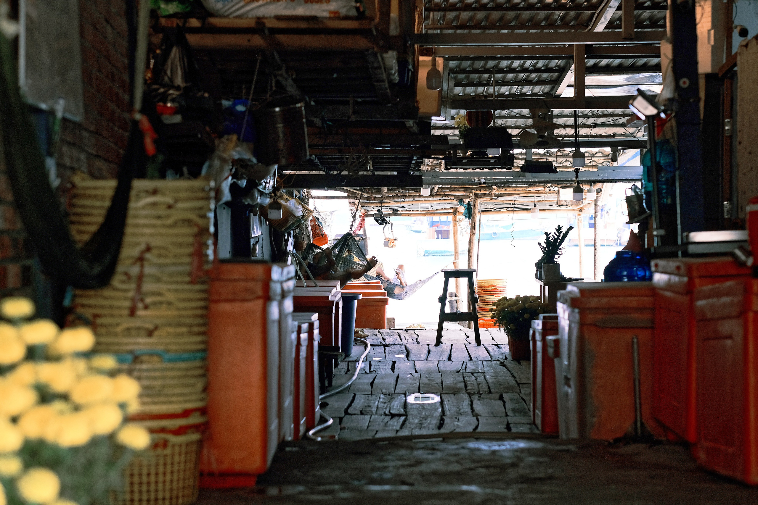 The Life of the Others | Phú Quốc 🇻🇳 |📍Vietnam. 中国街头摄影 | The Streets of China Through My Eyes | 深圳