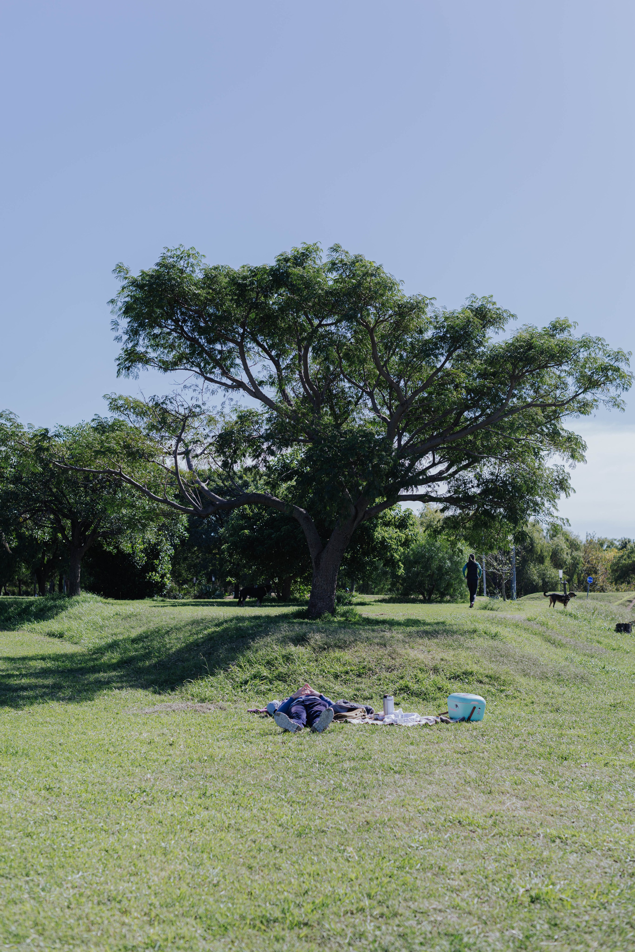 Прабабушка в Буэнос-Айресе. Фотограф @elmirkami в городе Буэнос-Айрес