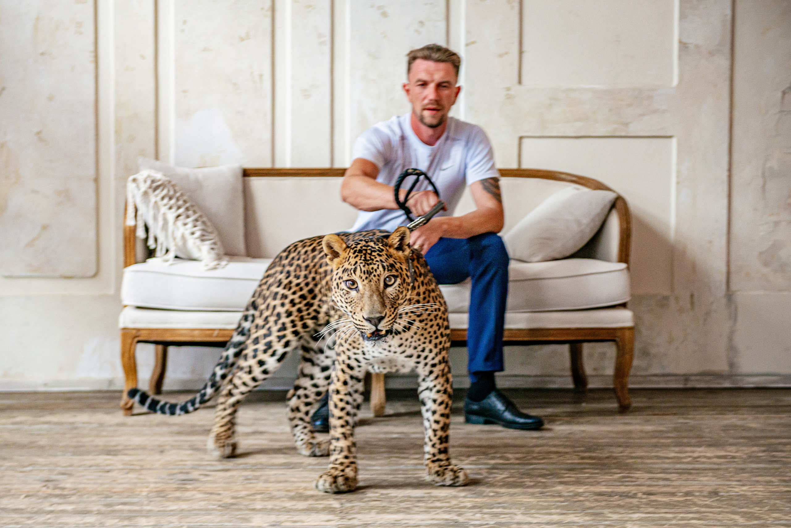 Photosession in the studio with a leopard. FOTÓGRAFO MÉXICO QUINTANA ROO