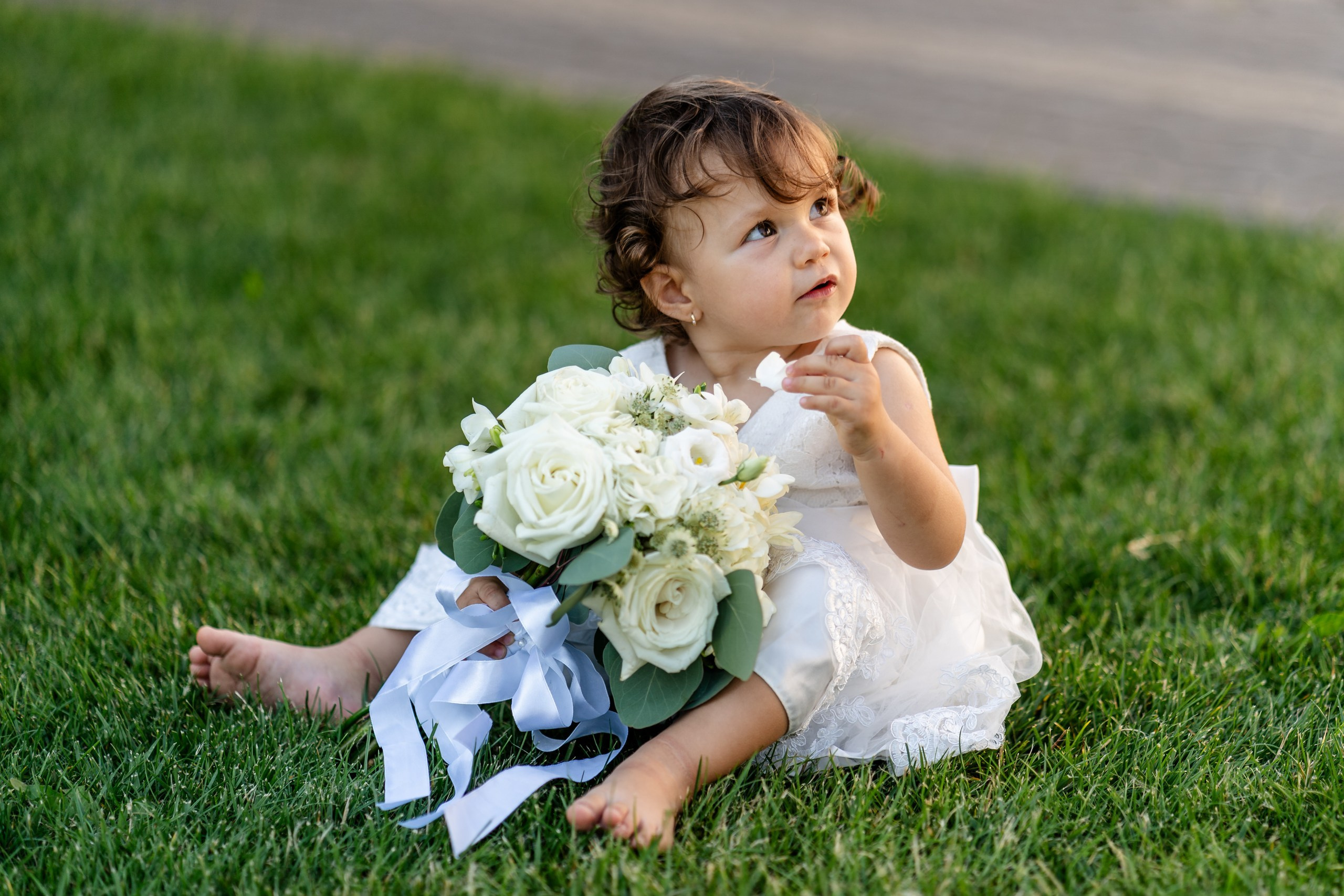 servicii foto. servicii foto Botoșani. servicii foto video Botoșani. fotograf nunta. fotograf evenimente. fotograf nunta Botoșani. Alin chirila. Alin chirila fotograf. Alinofotostudio.fotograf stare civilă,poze stare civilă,album foto stare civilă,servicii foto suceava,fotograf evenimente suceava,fotograf nuntă suceava,poze cununie civilă,ședință foto stare civilă,sesiune foto suceava,fotograf profesionist suceava,fotograf botosani,stare civila botosani,alinofotostudio,alin chirila fotograf