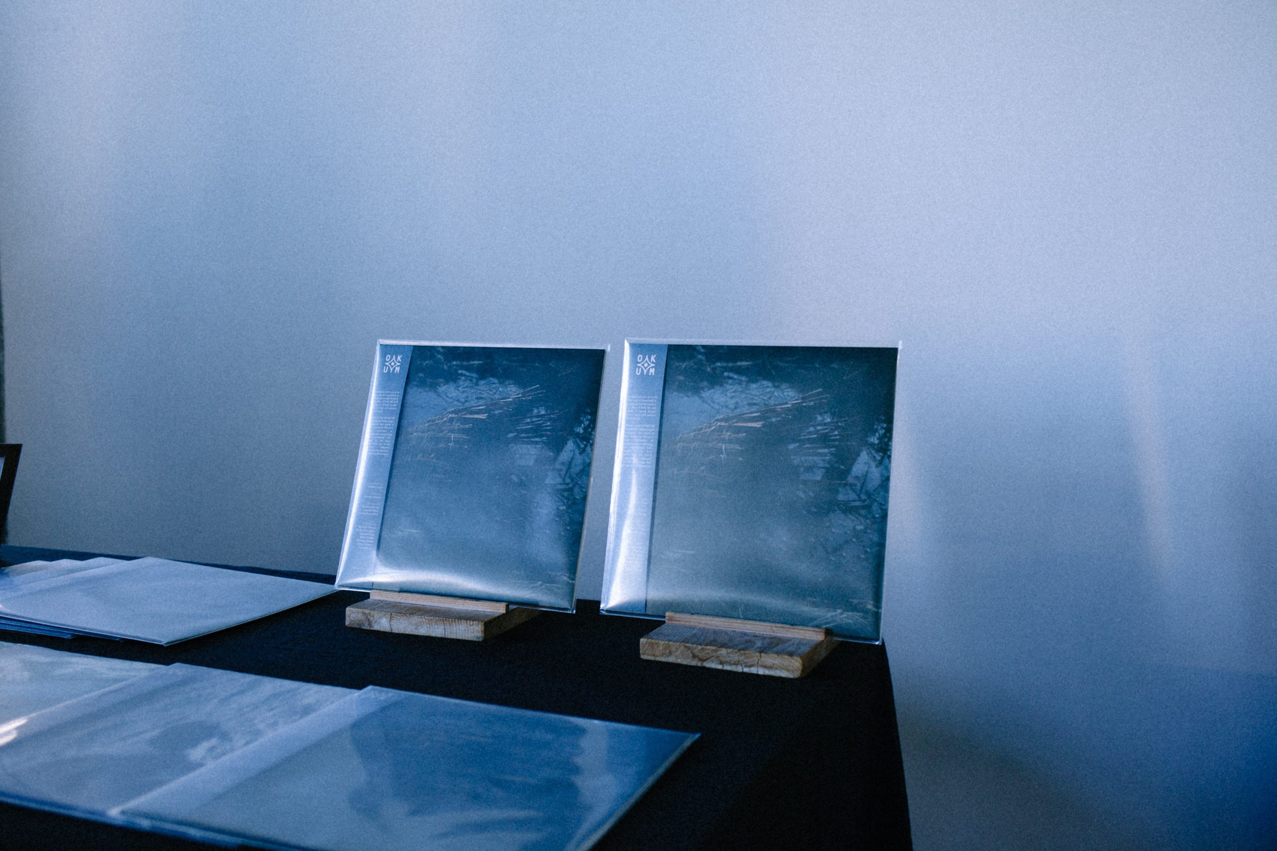 DAYS IN TURIN FILLED WITH MUSIC. Marina Kálcheva — Photographer & Visual Artist in Barcelona