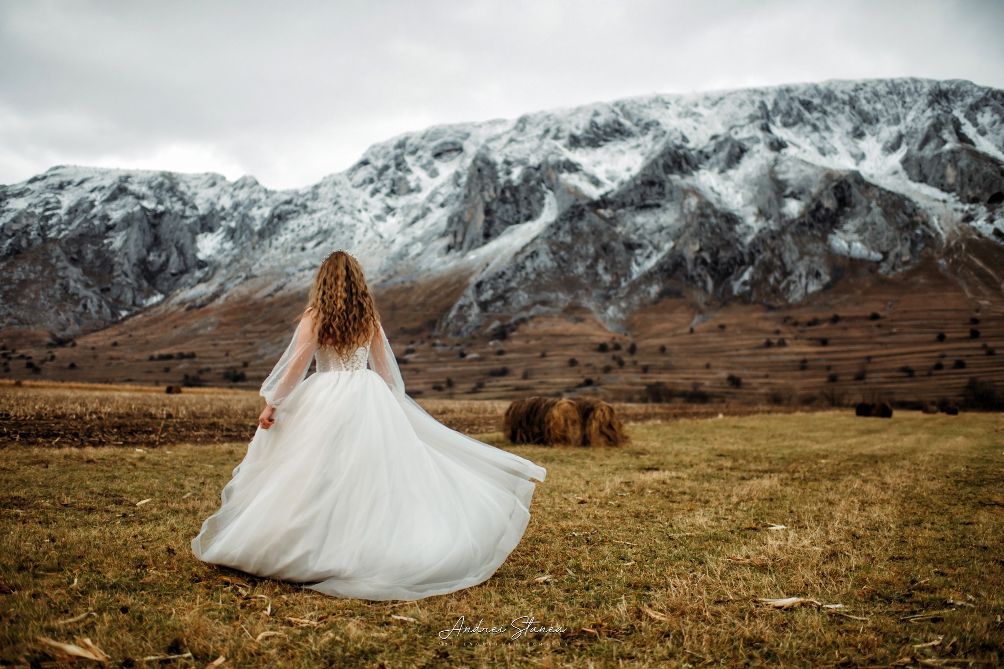 Dan & Daniela. Andrei Stanea