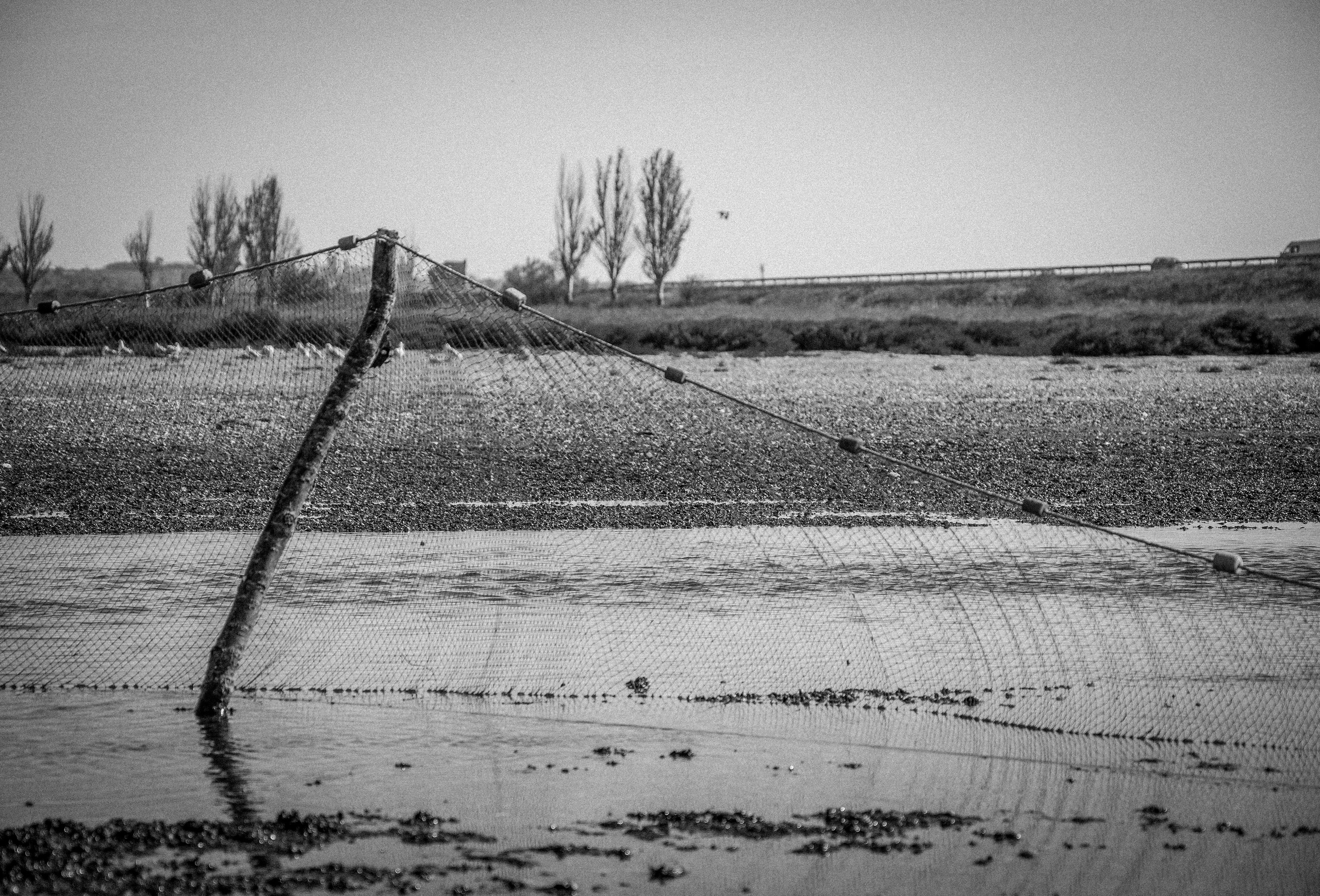 More More. Katerina Kiper Photography