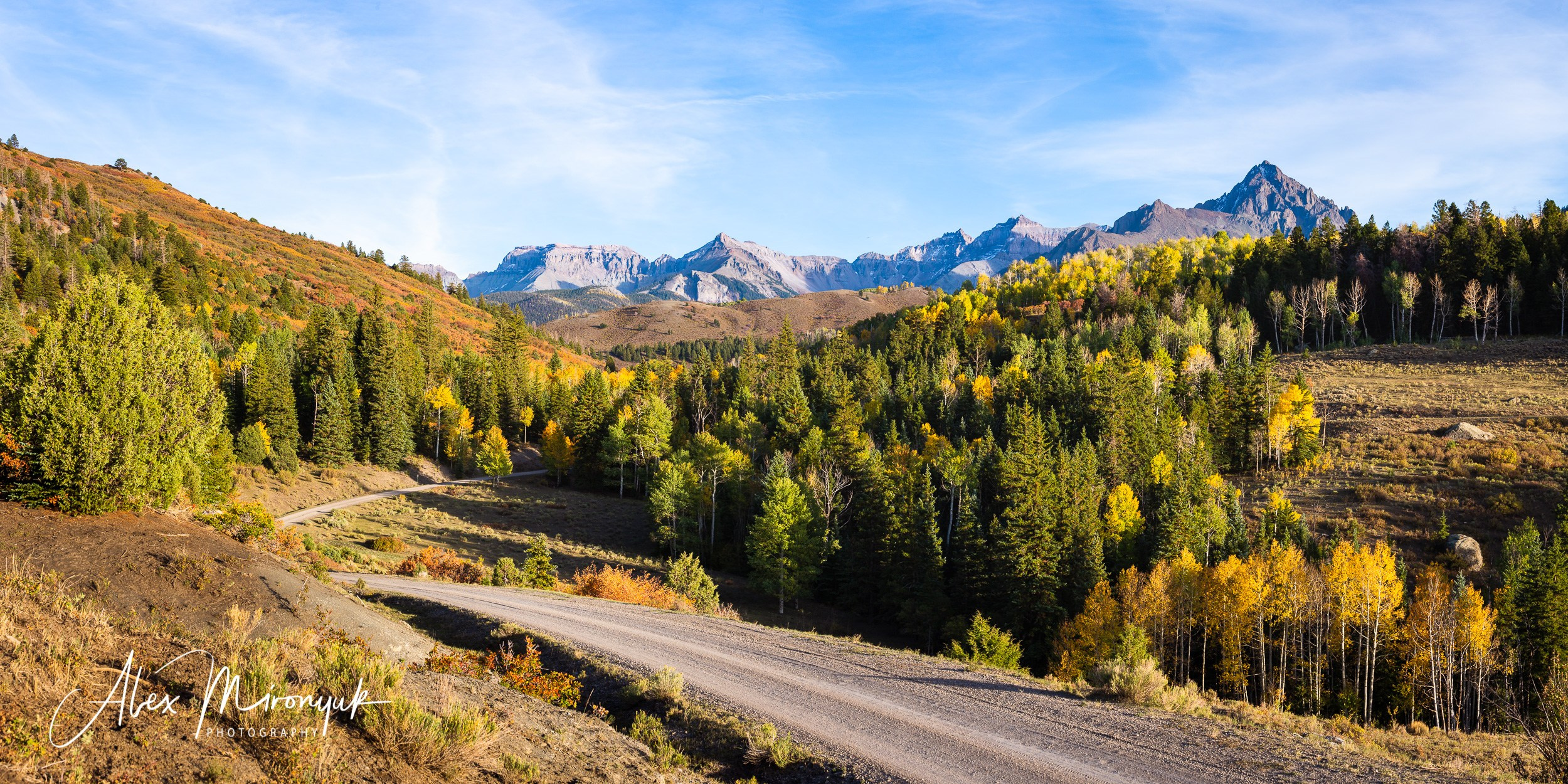 Fall Colors Of Colorado. Pet, Senior, Landscape, portrait studio, photographer in Miami and Sou
