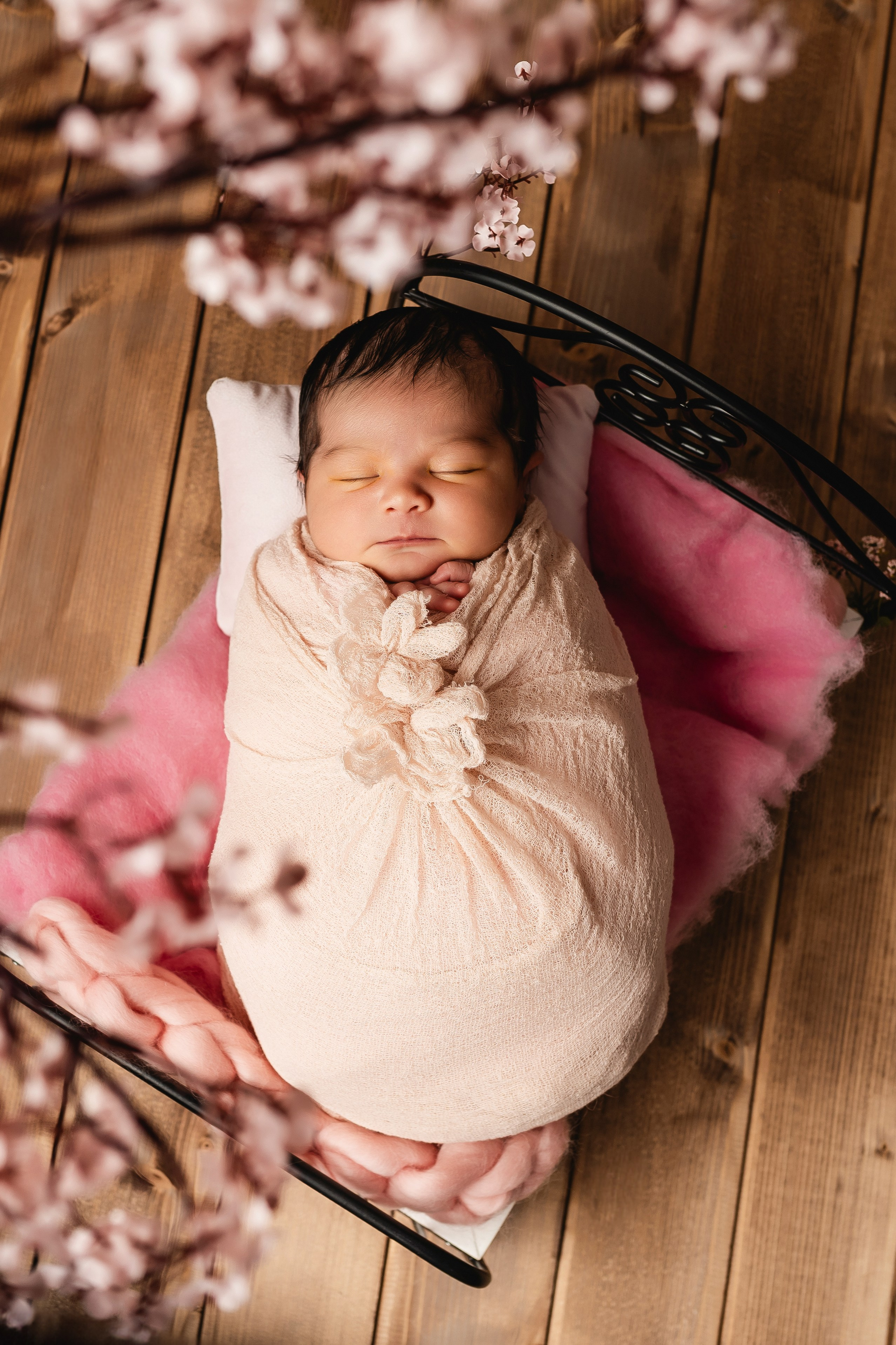 Naissance. Photographer in Paris