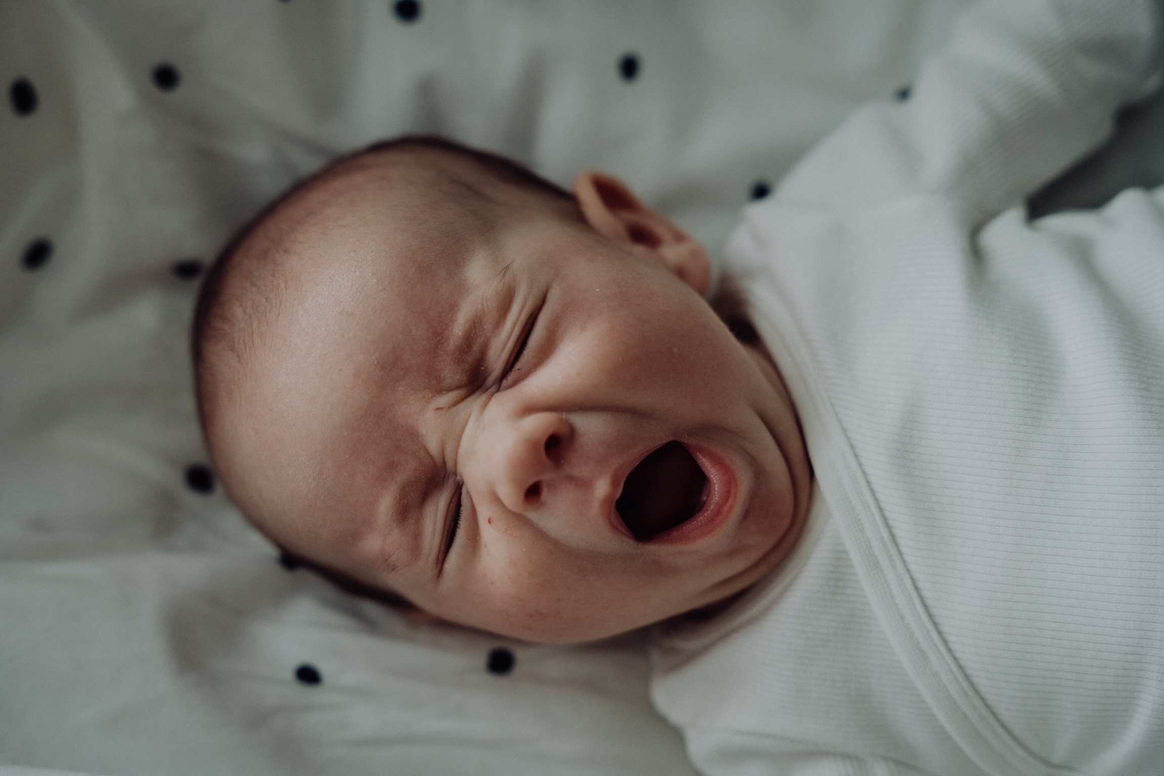 Jana & Leónidas. Семейный фотограф Плзень Анита Дергачева