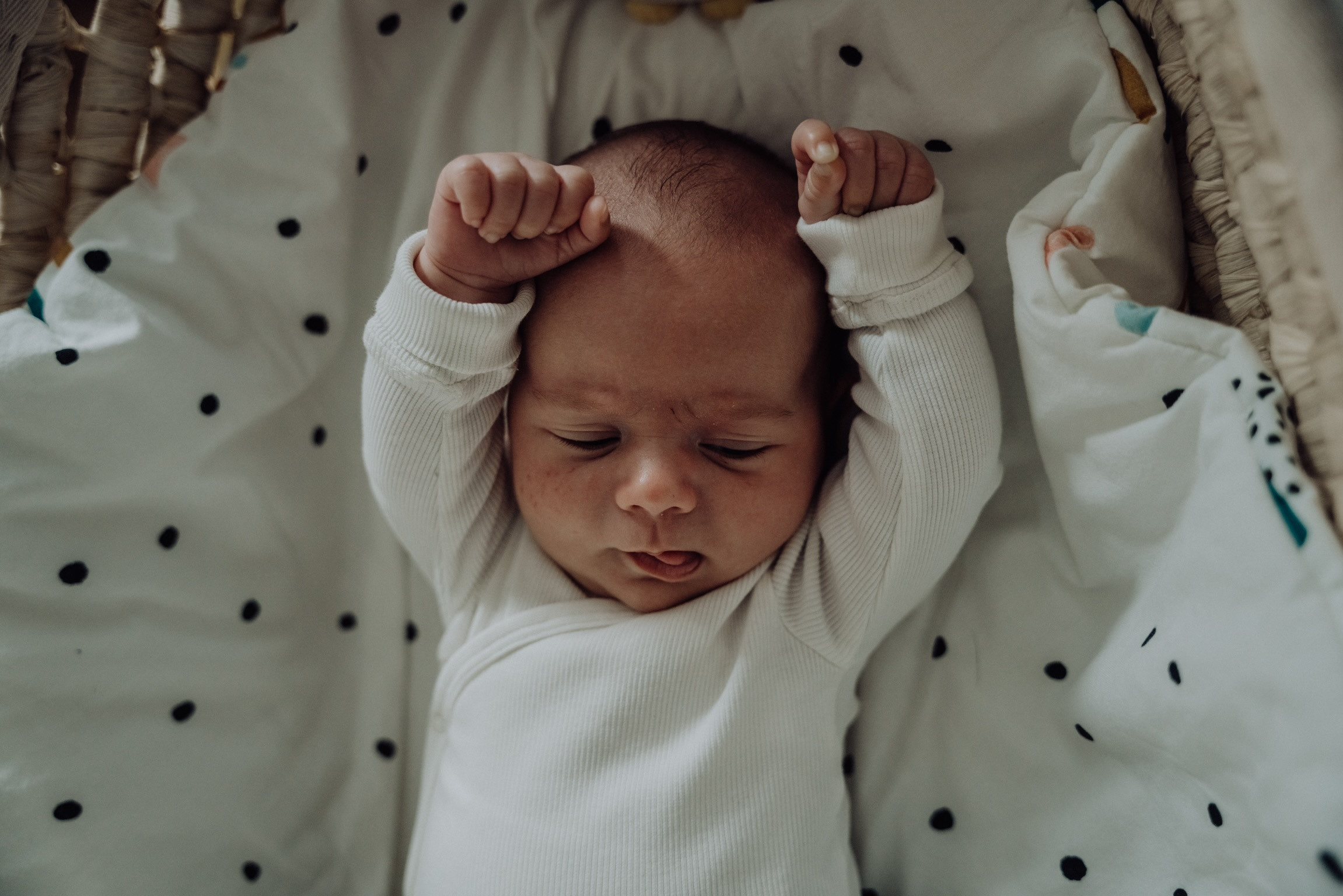 Jana & Leónidas. Семейный фотограф Плзень Анита Дергачева