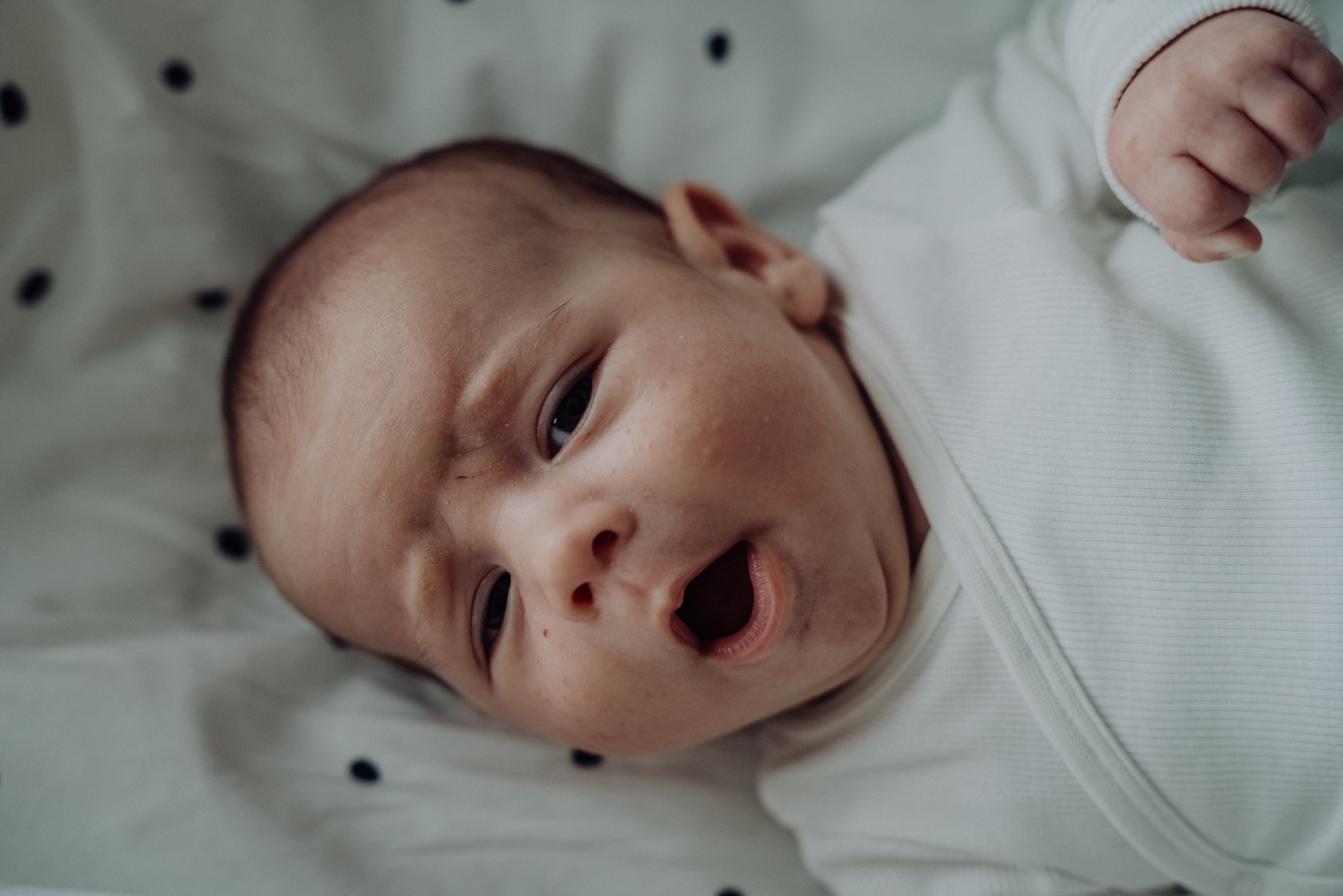 Jana & Leónidas. Семейный фотограф Плзень Анита Дергачева