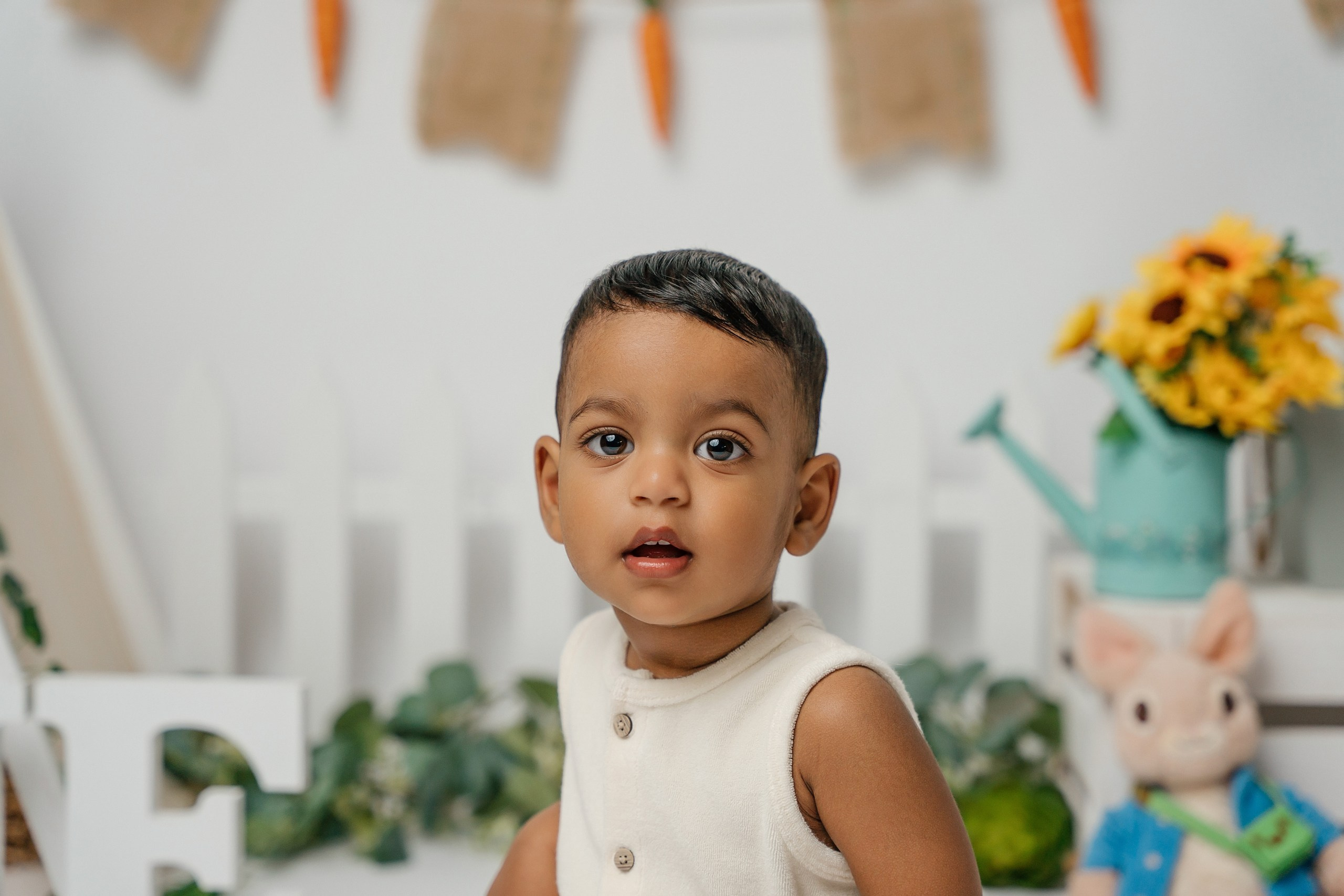 Peter rabbit cake smash session. Newborn and family photographer. Hills District. Sydney