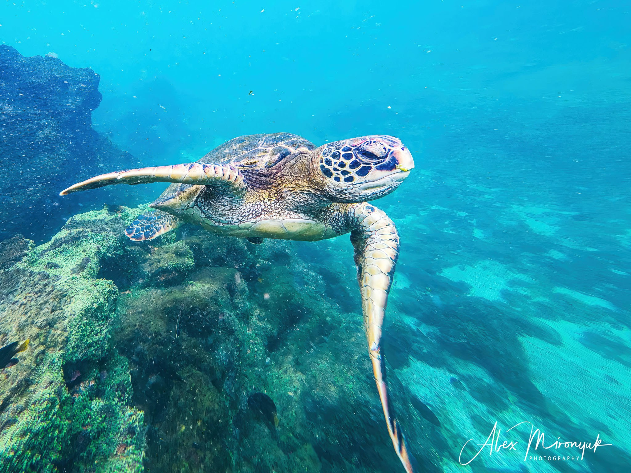 Galapagos Islands Adventure. Alex Mironyuk Photography