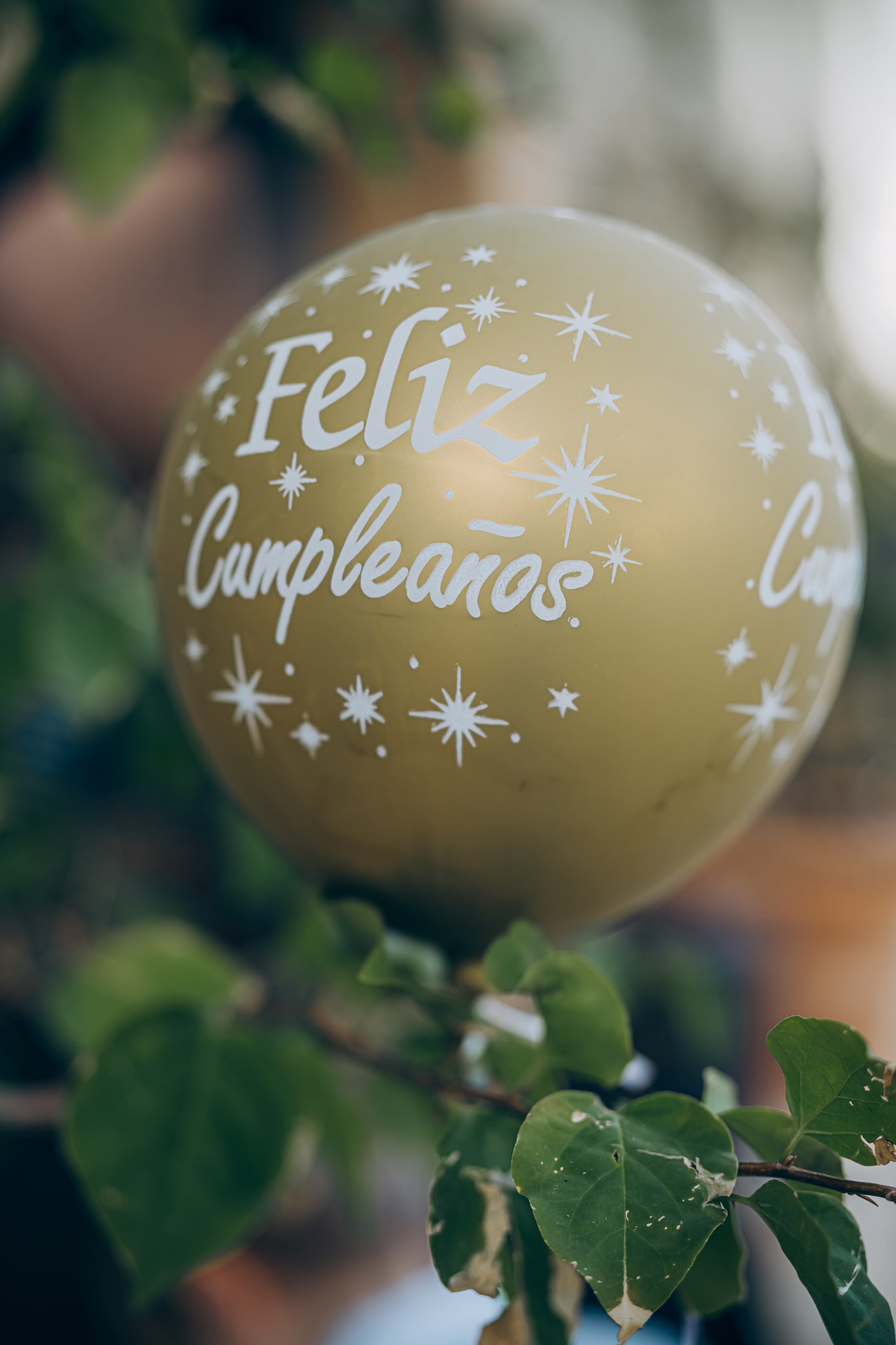 Andrew’s birthday. Photographer in Mallorca