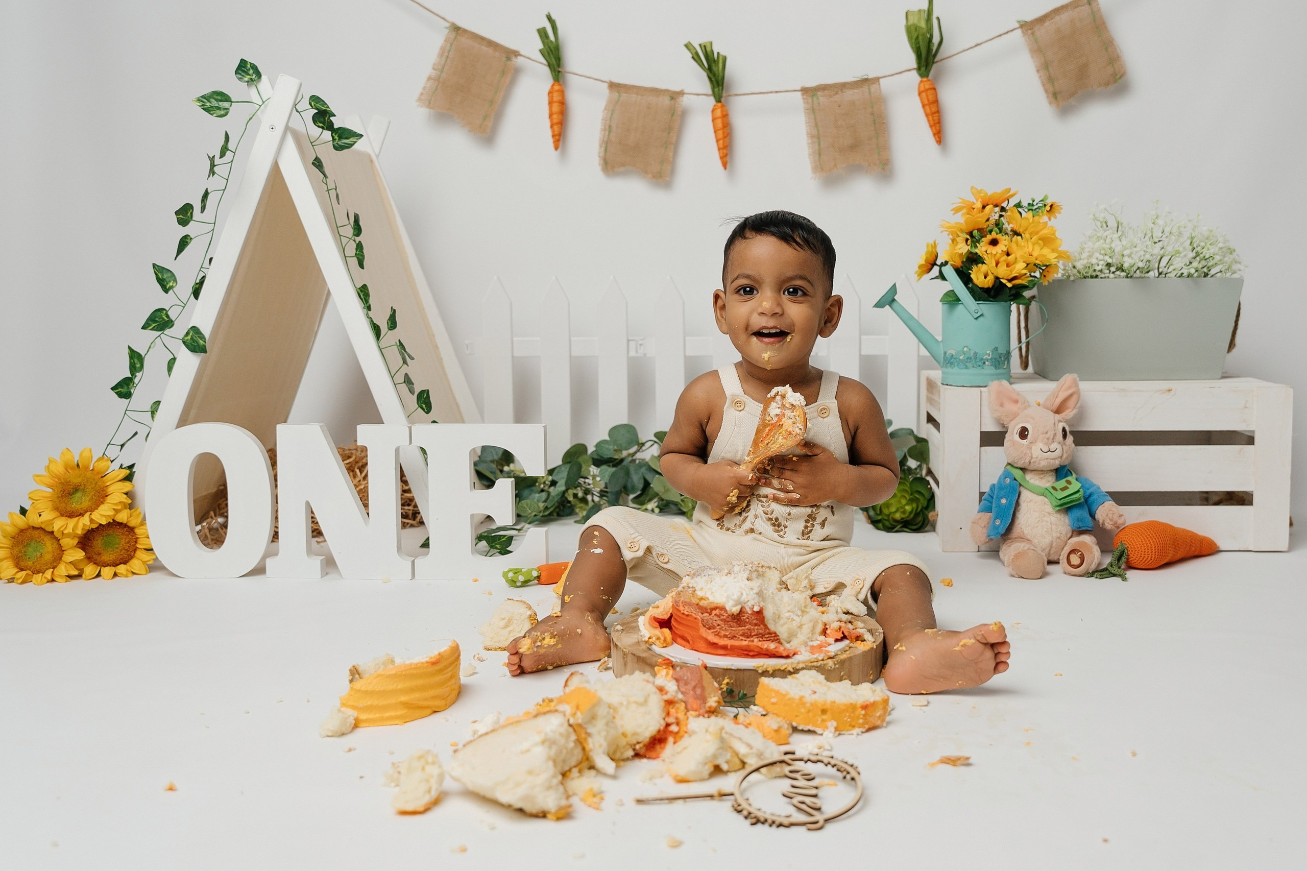 Peter rabbit cake smash session. Newborn and family photographer. Hills District. Sydney