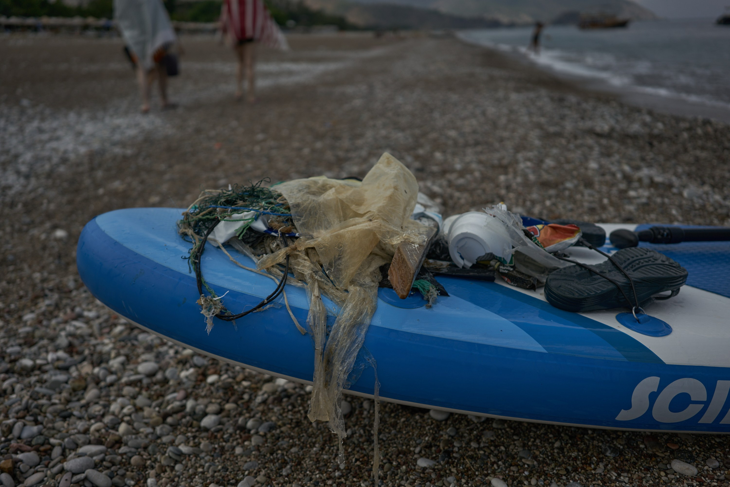 Caretta caretta | Anastasiia Nelen photographer