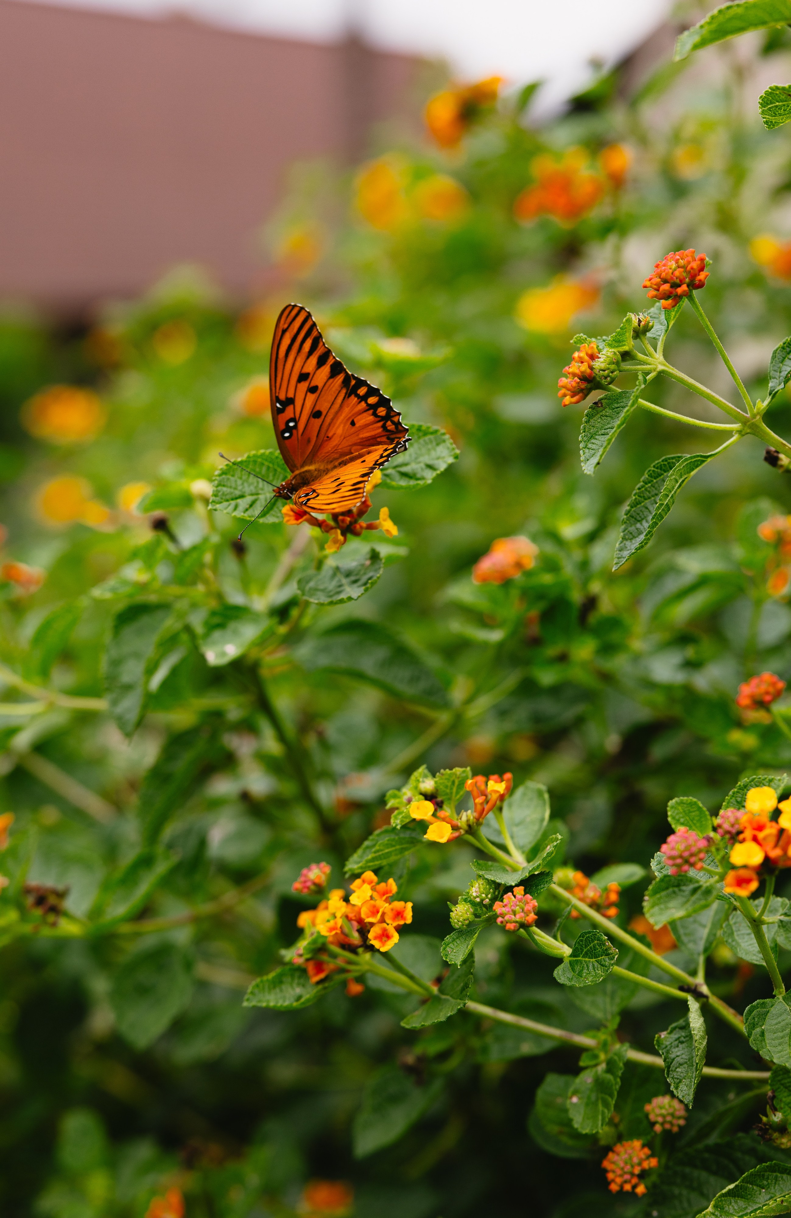 Investment. Photographer Anastasia Nagibina