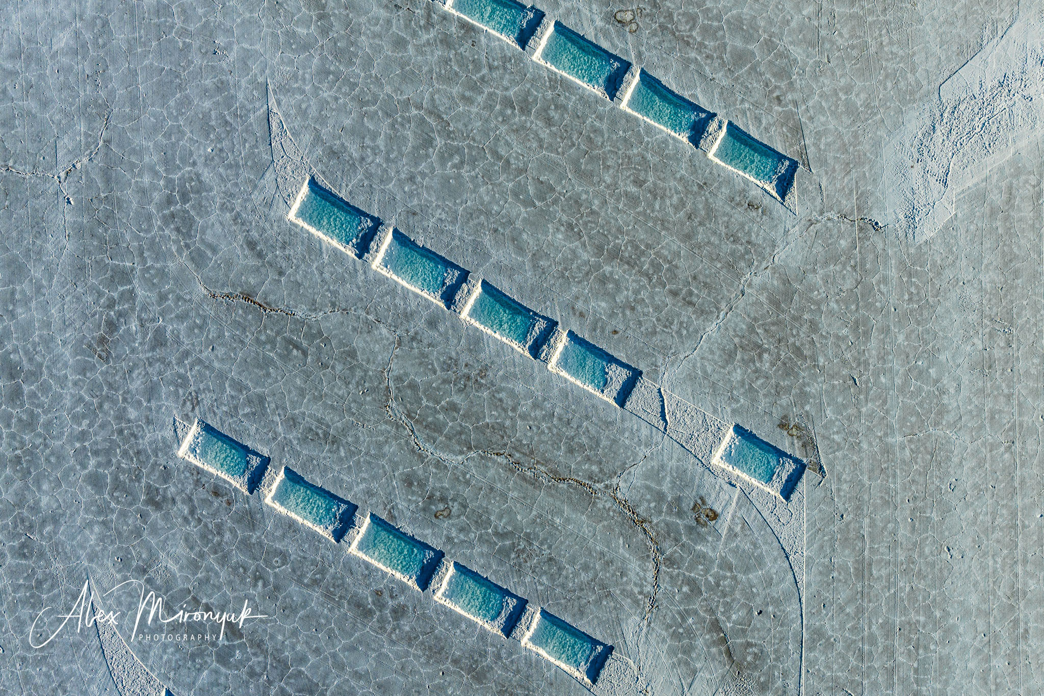 Unknown Northern Argentina. Pet, Senior, Landscape, portrait studio, photographer in Miami and Sou