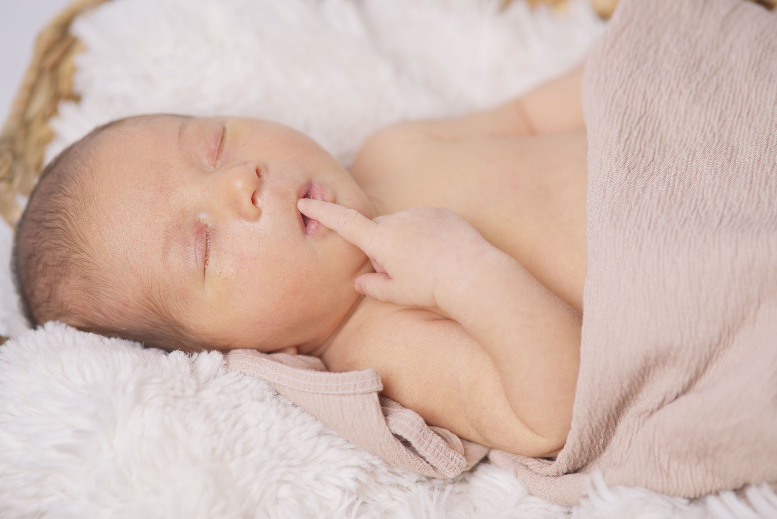 Family, couple and newborn photography in Toronto and GTA