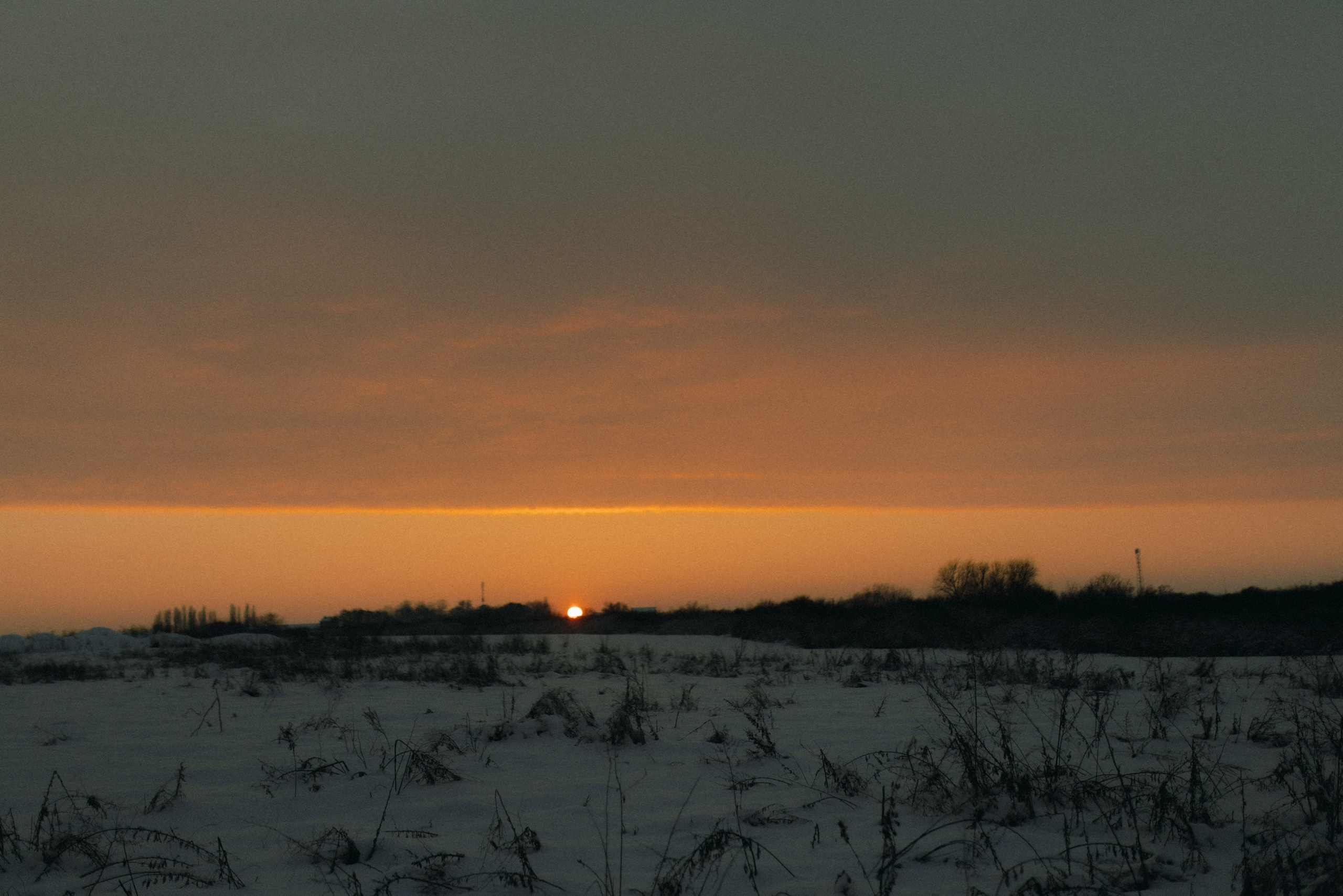 Snowy. Wedding photographer and videographer based in Timisoara, Romania