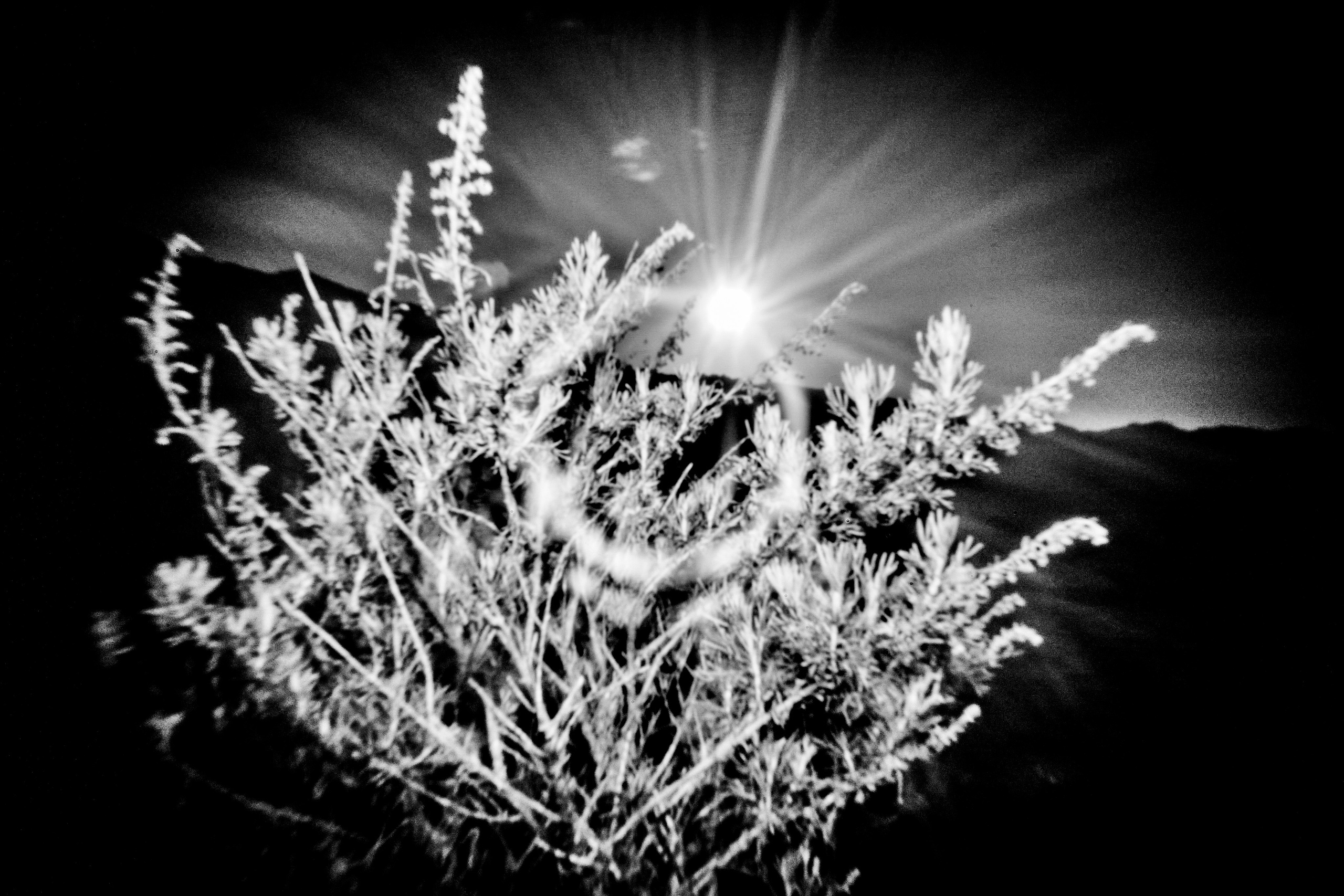 Entrance to the void. GLISH ART — Timofey Glinin & Anastasia Shubina