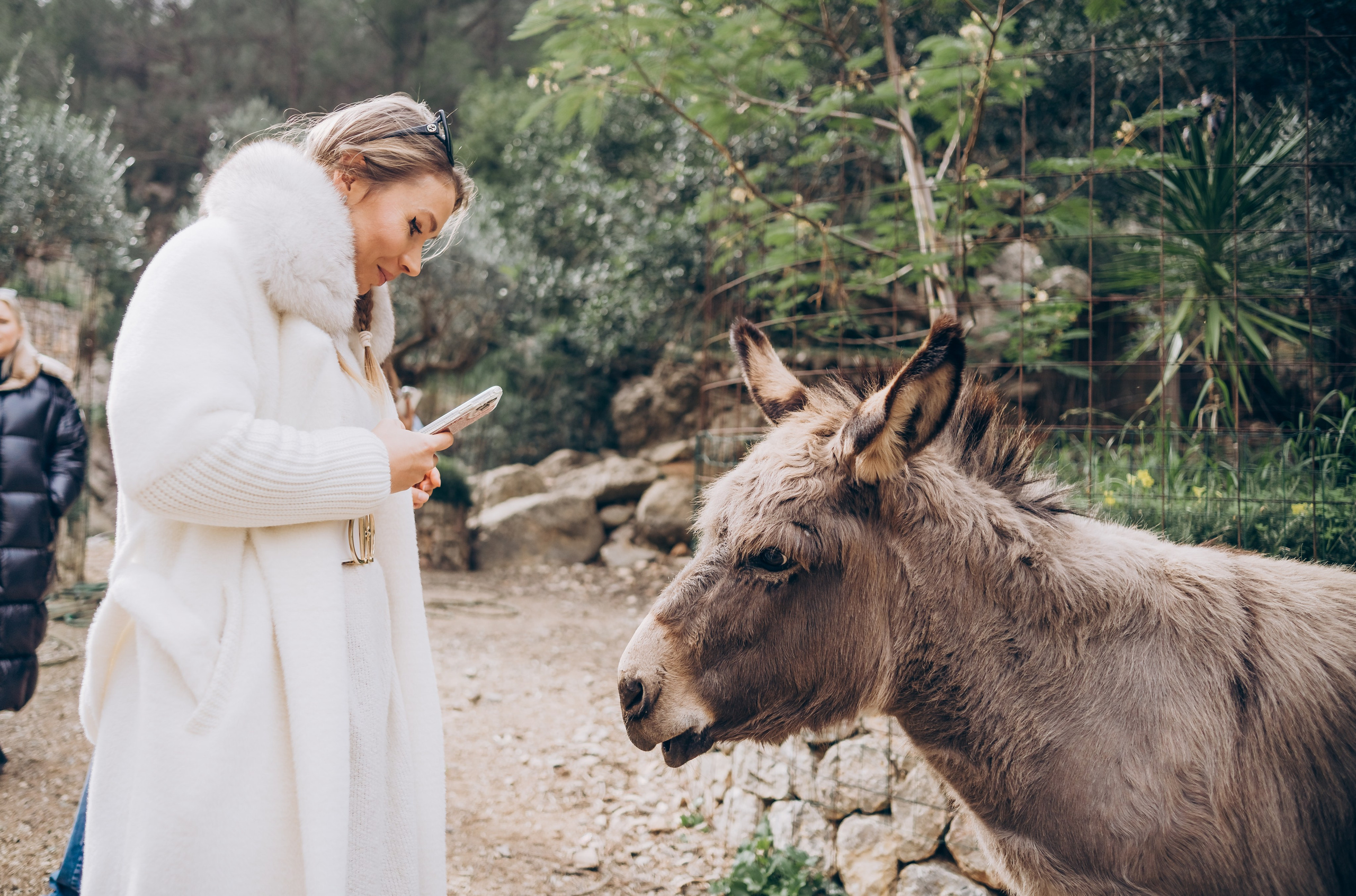 Gender party. Photographer in Mallorca