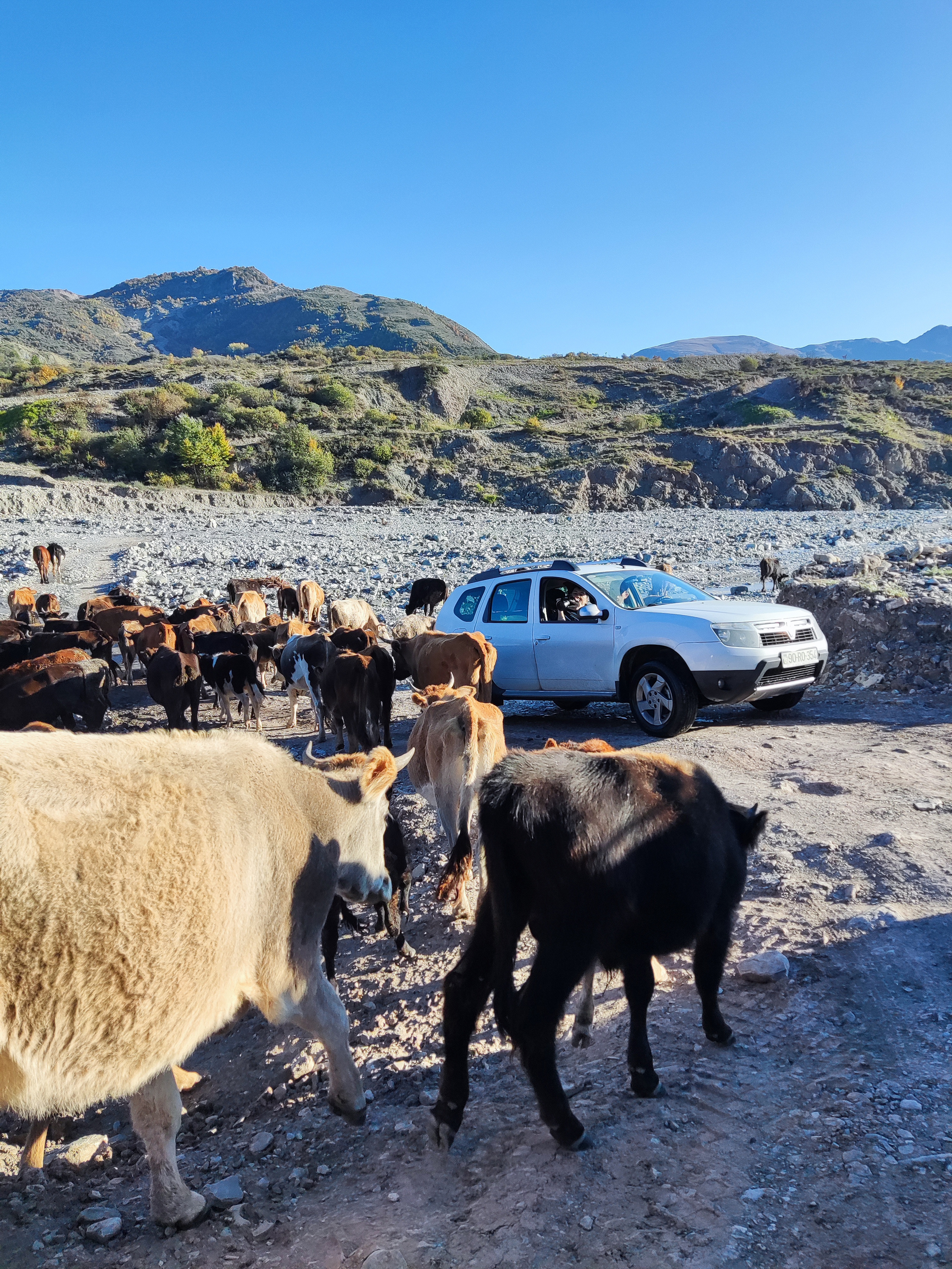 Astrokamp — Həftəsov (#006). Həvəskar Astronomlar Cəmiyyəti — Astronomy.az