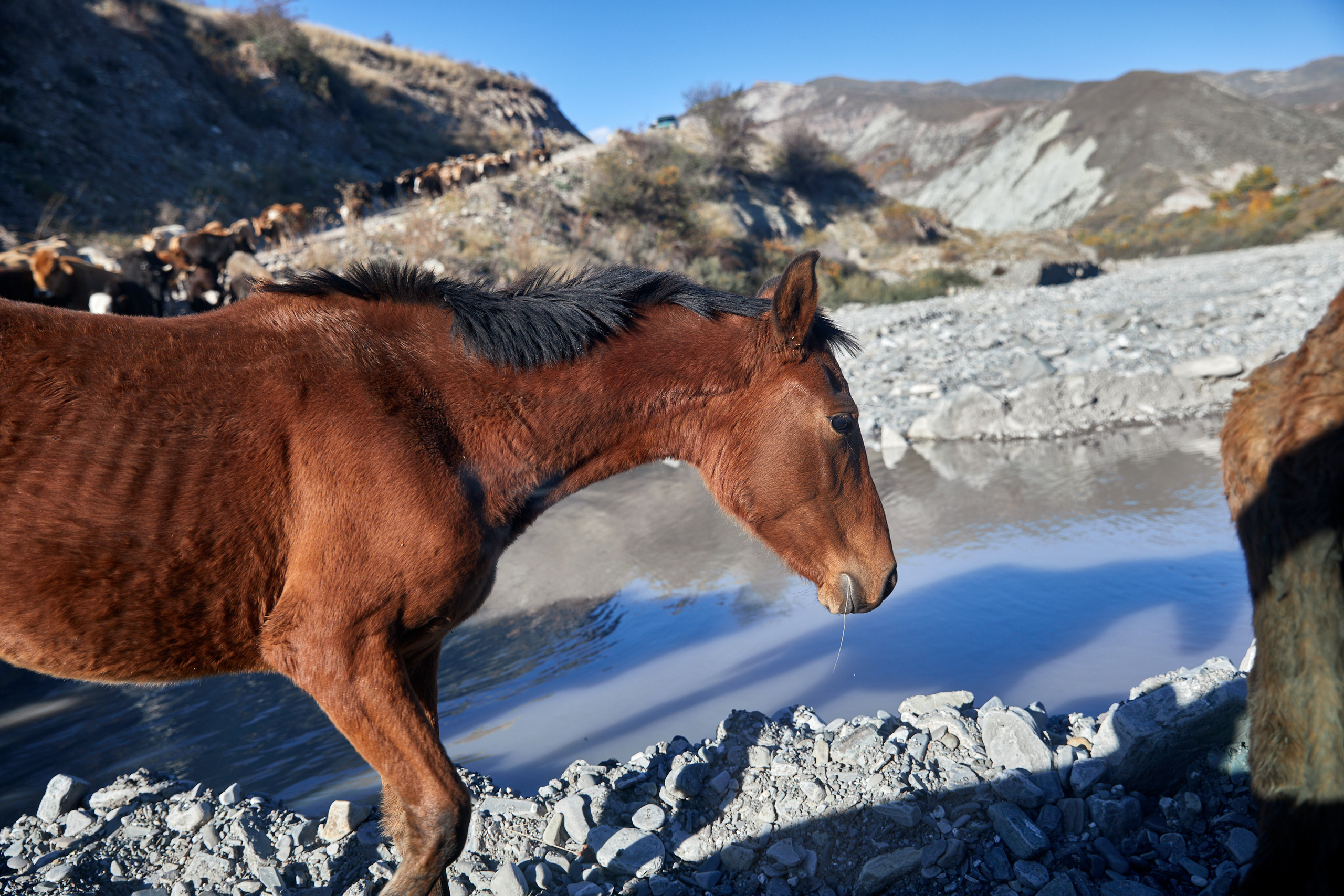 Astrokamp — Həftəsov (#006). Həvəskar Astronomlar Cəmiyyəti — Astronomy.az