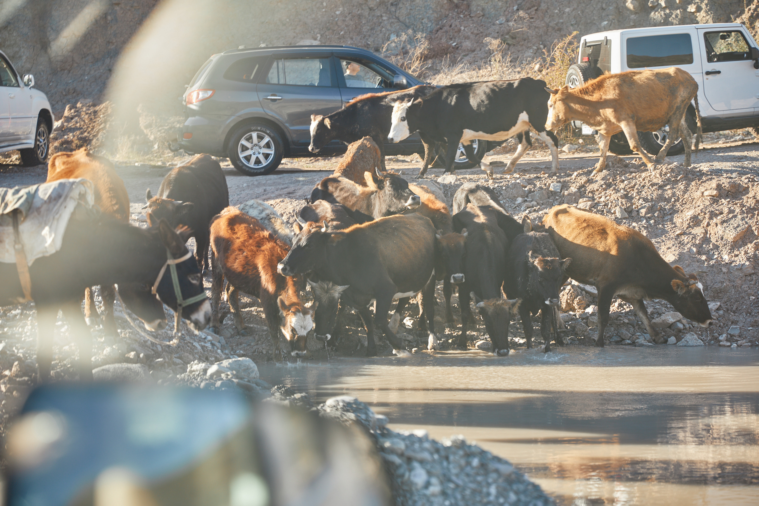 Astrokamp — Həftəsov (#006). Həvəskar Astronomlar Cəmiyyəti — Astronomy.az