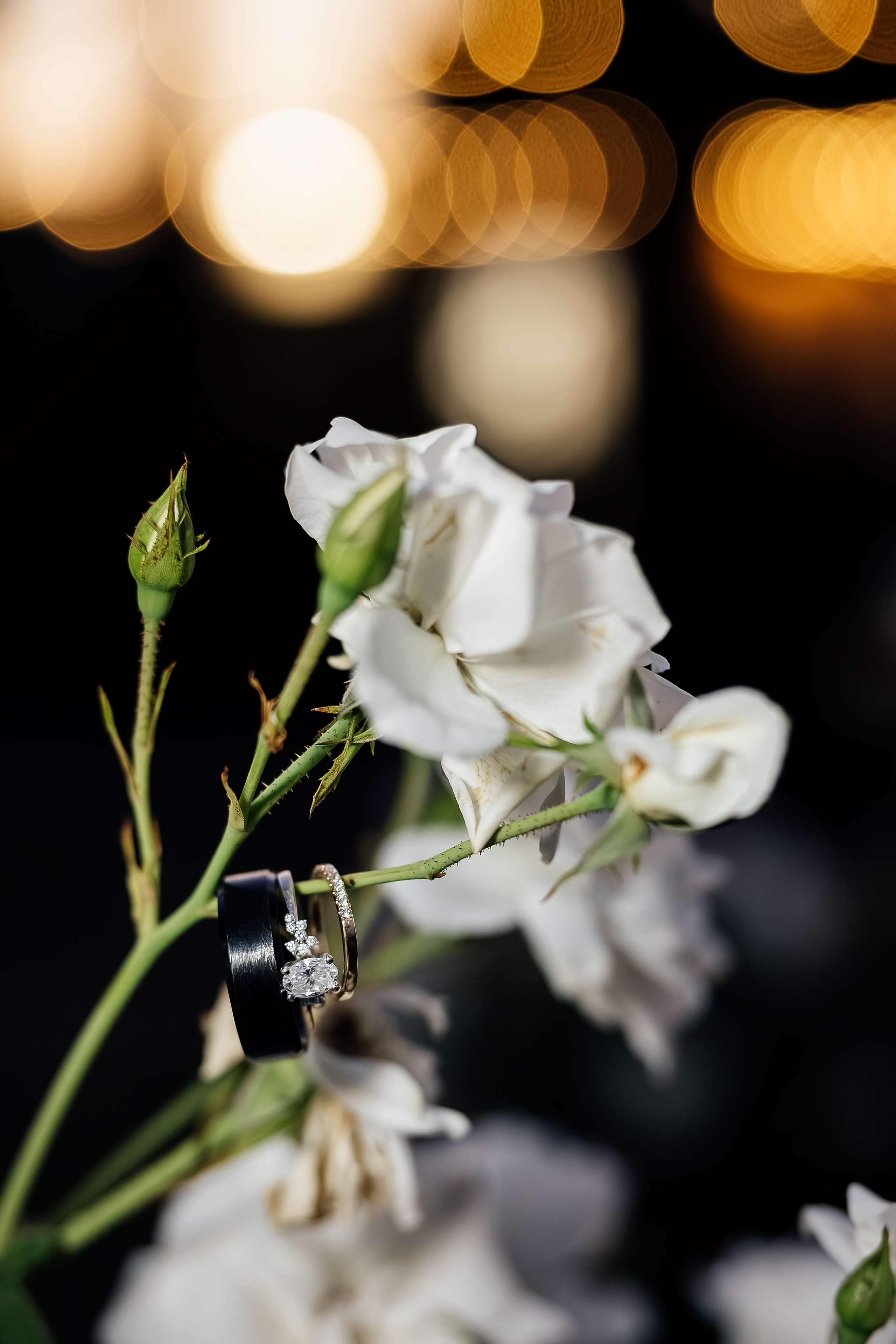 ArtFeather Photography. Sacramento, California