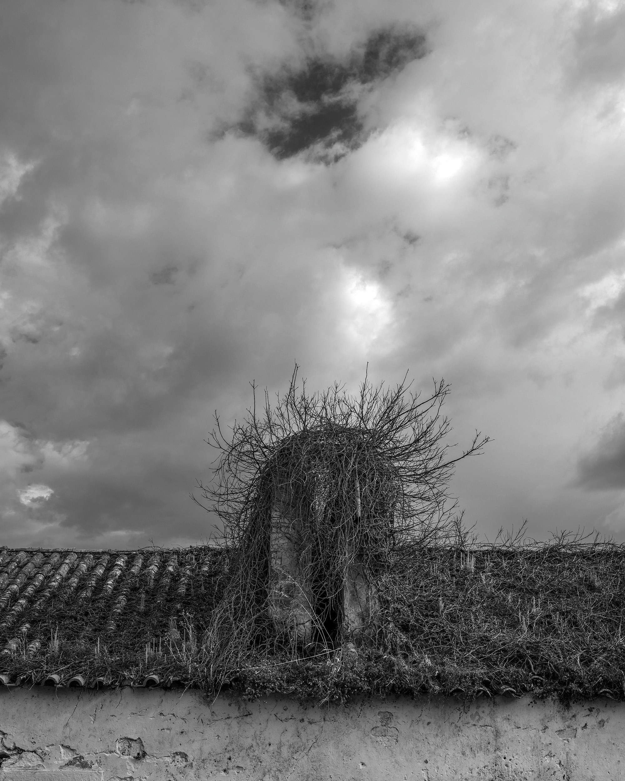 Katya Bogachevskaya — independent curator, lecturer