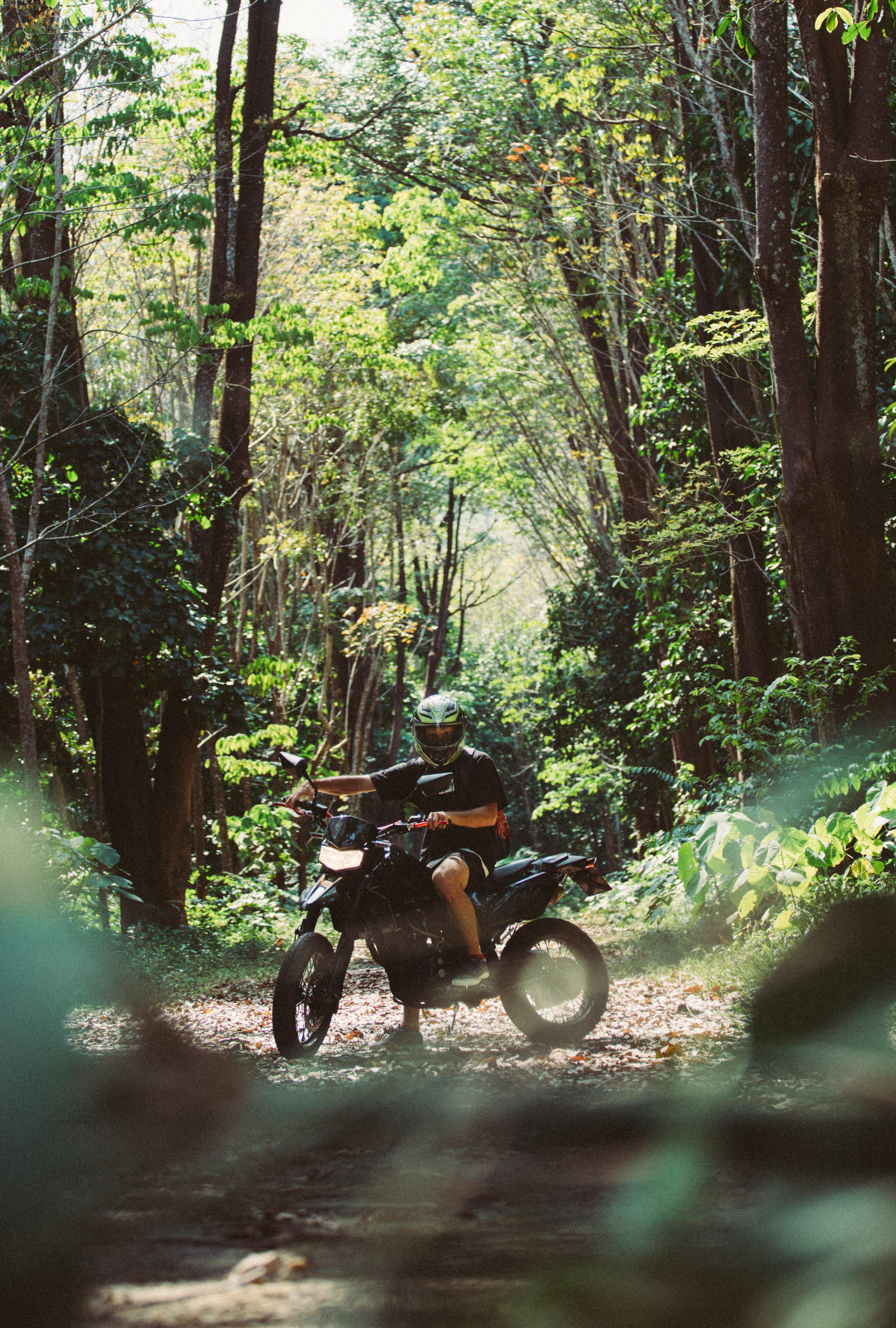 More about Dima Belan