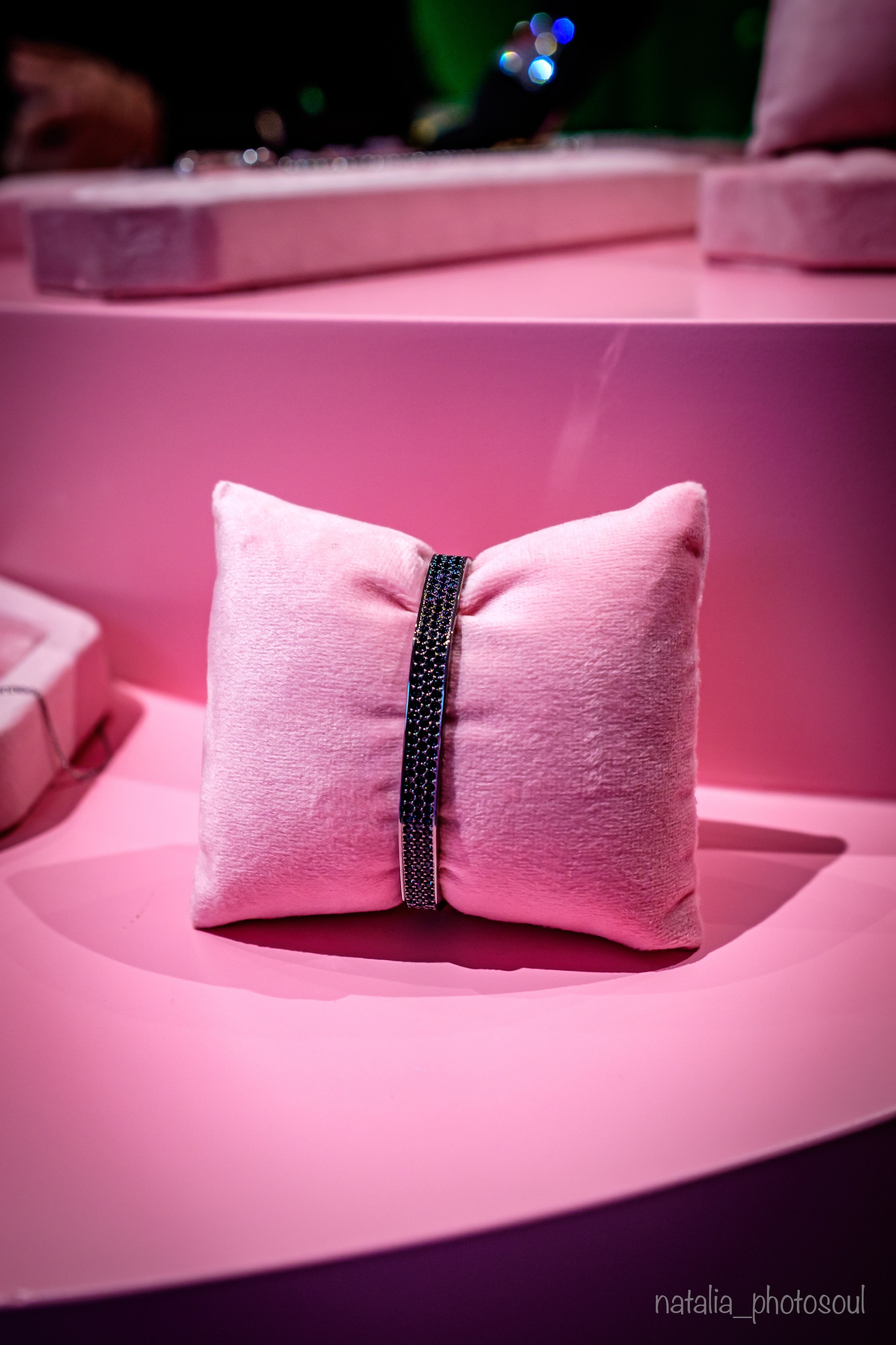 SWAROVSKI MASTERS OF LIGHT FROM VIENNA TO SEOUL. Photographer in Seoul Dobrokvashina Natalya