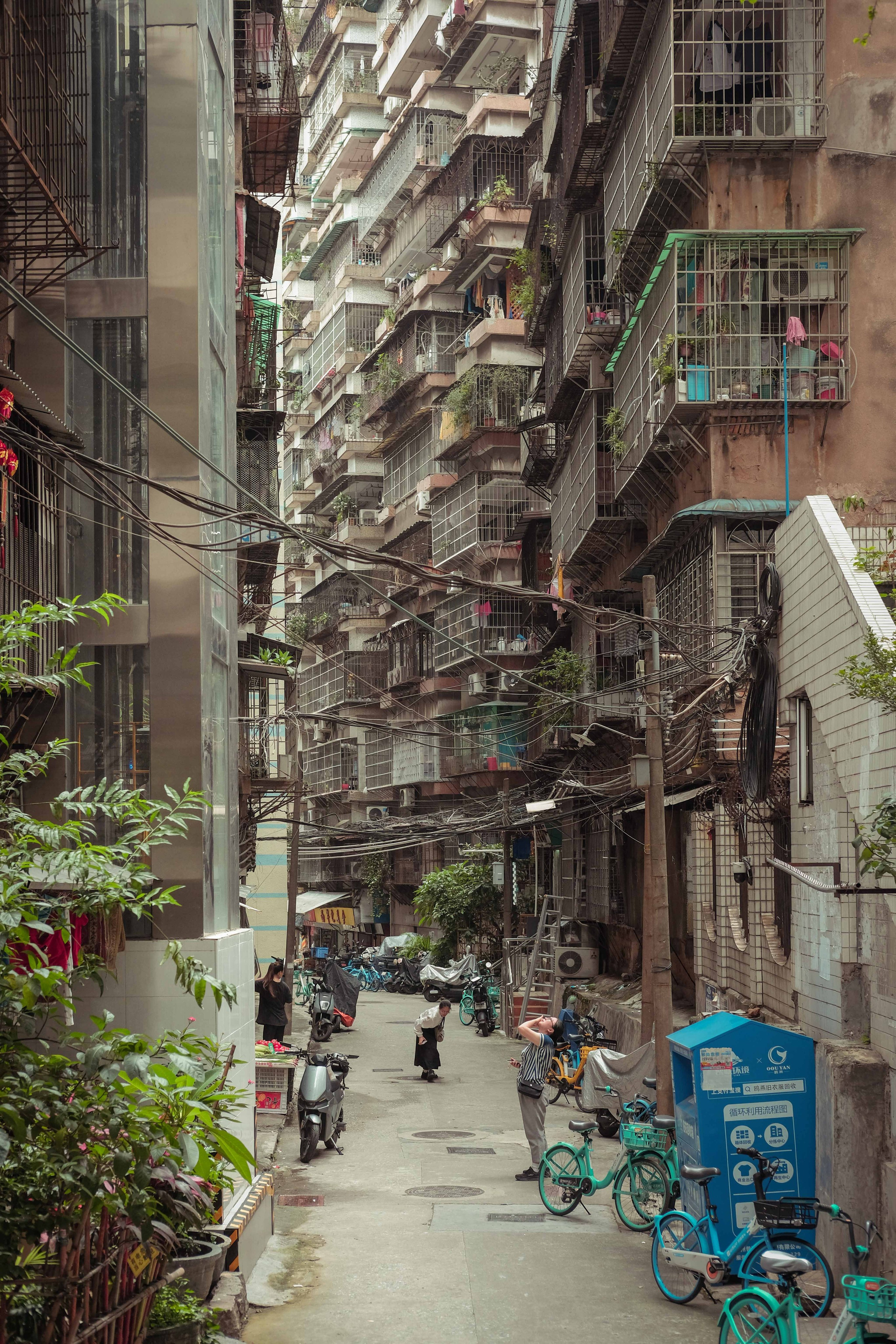 Daily Life in Guangzhou Alleys | China 🇨🇳
