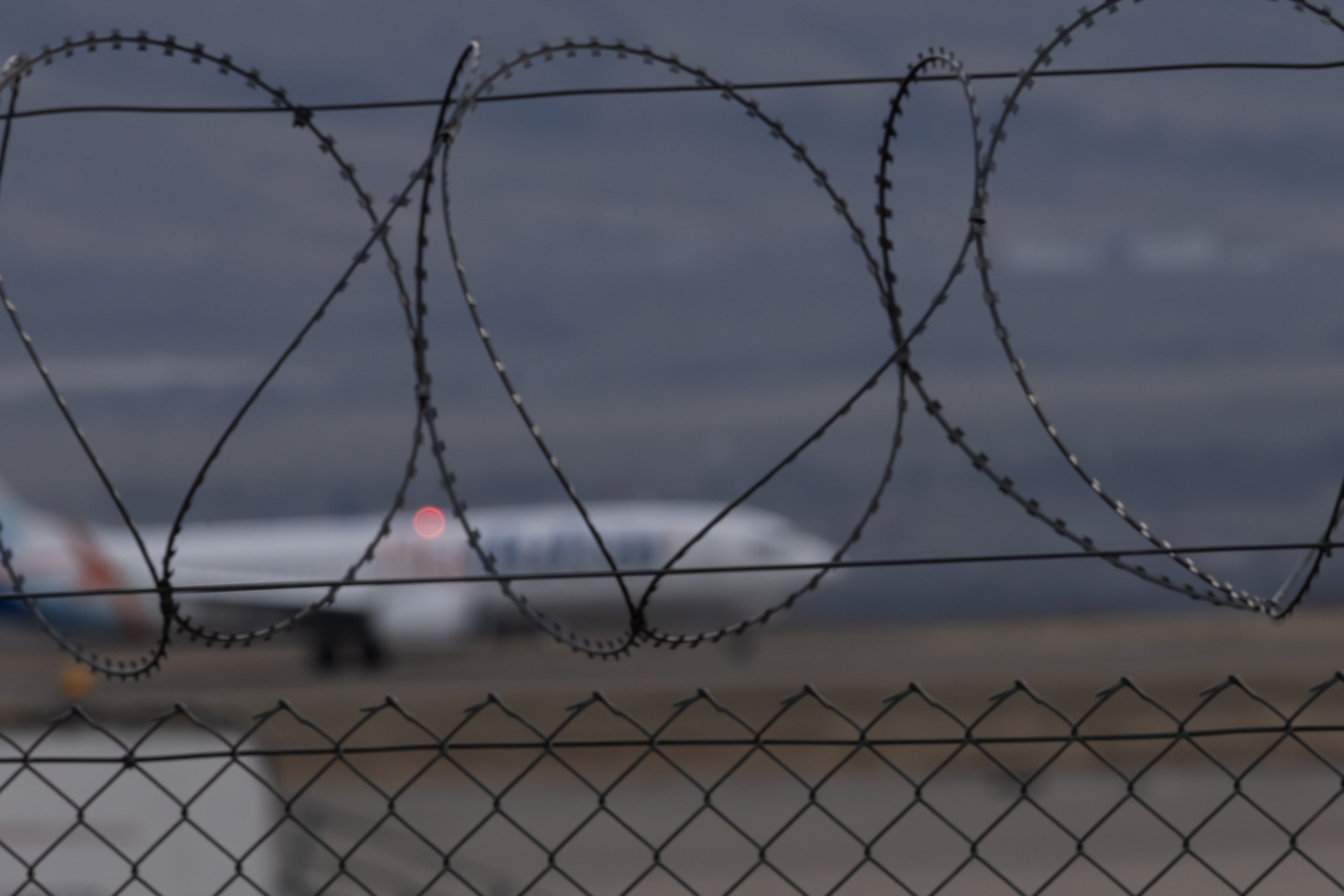 ფრთა ბუმბულისა და ფრთა რკინისა. FramefreeMan