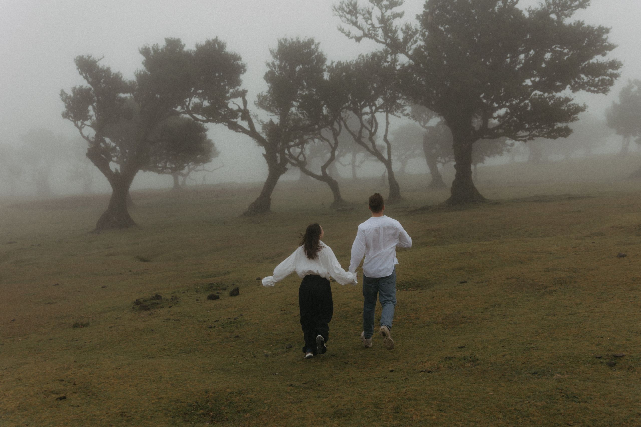 Couple portrait in foggy laurel forest in Madeira